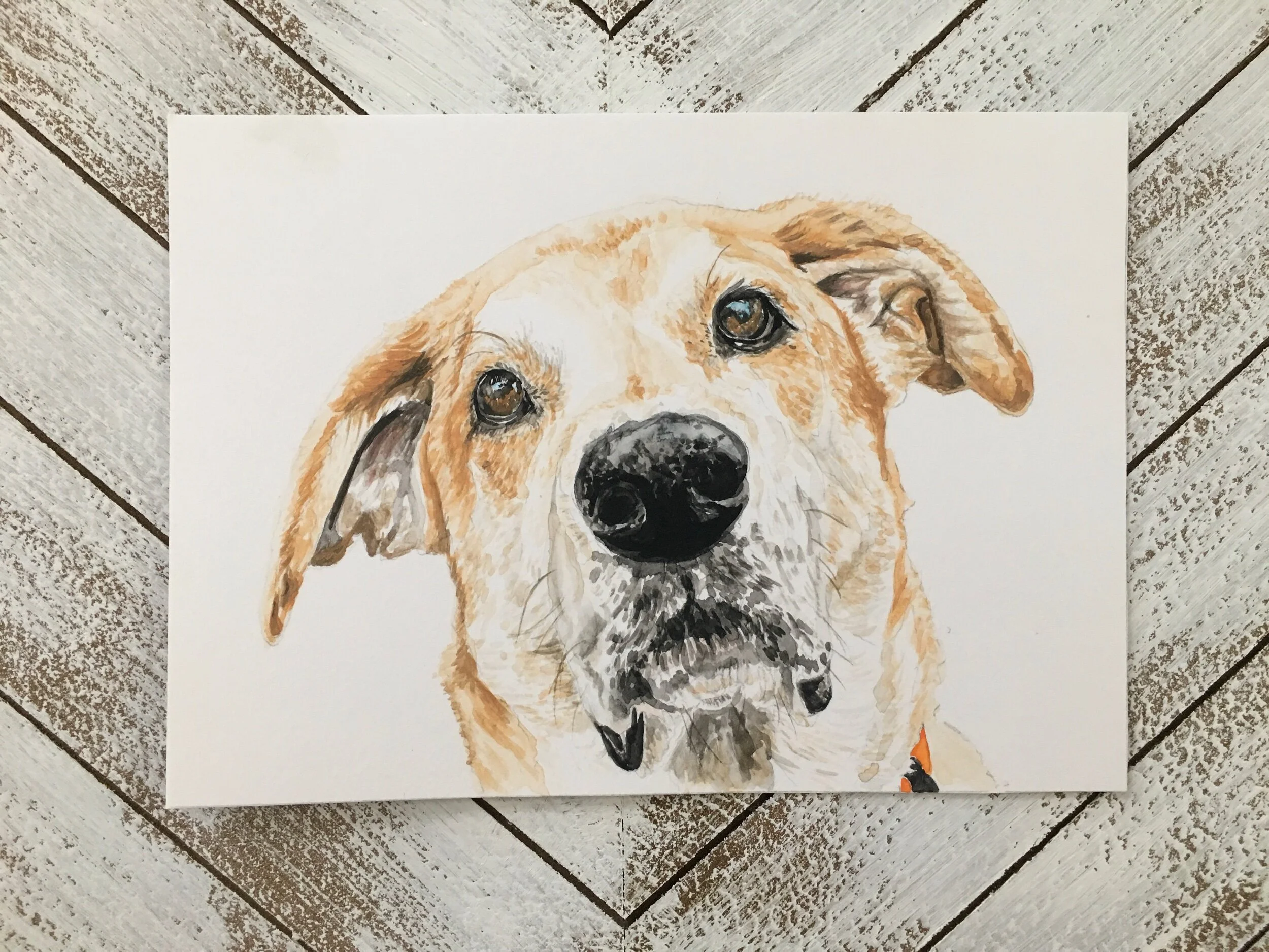 366D63ED-18B0-40FE-B646-DA649BEBC3F2