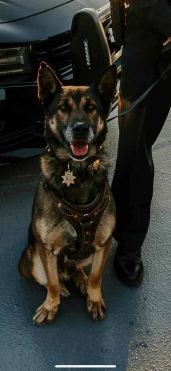 2DE171FD-1171-4D10-84F6-A60B48DEB8C0