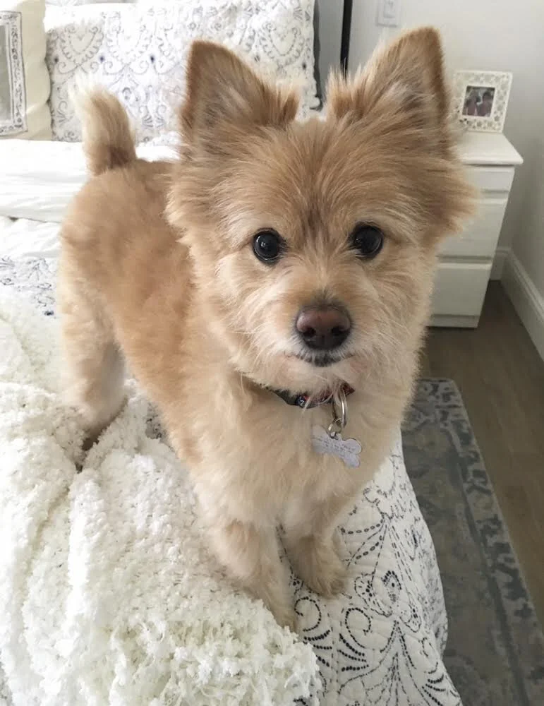 BD2A43CA-C9AA-4497-88AF-66866D1E9030