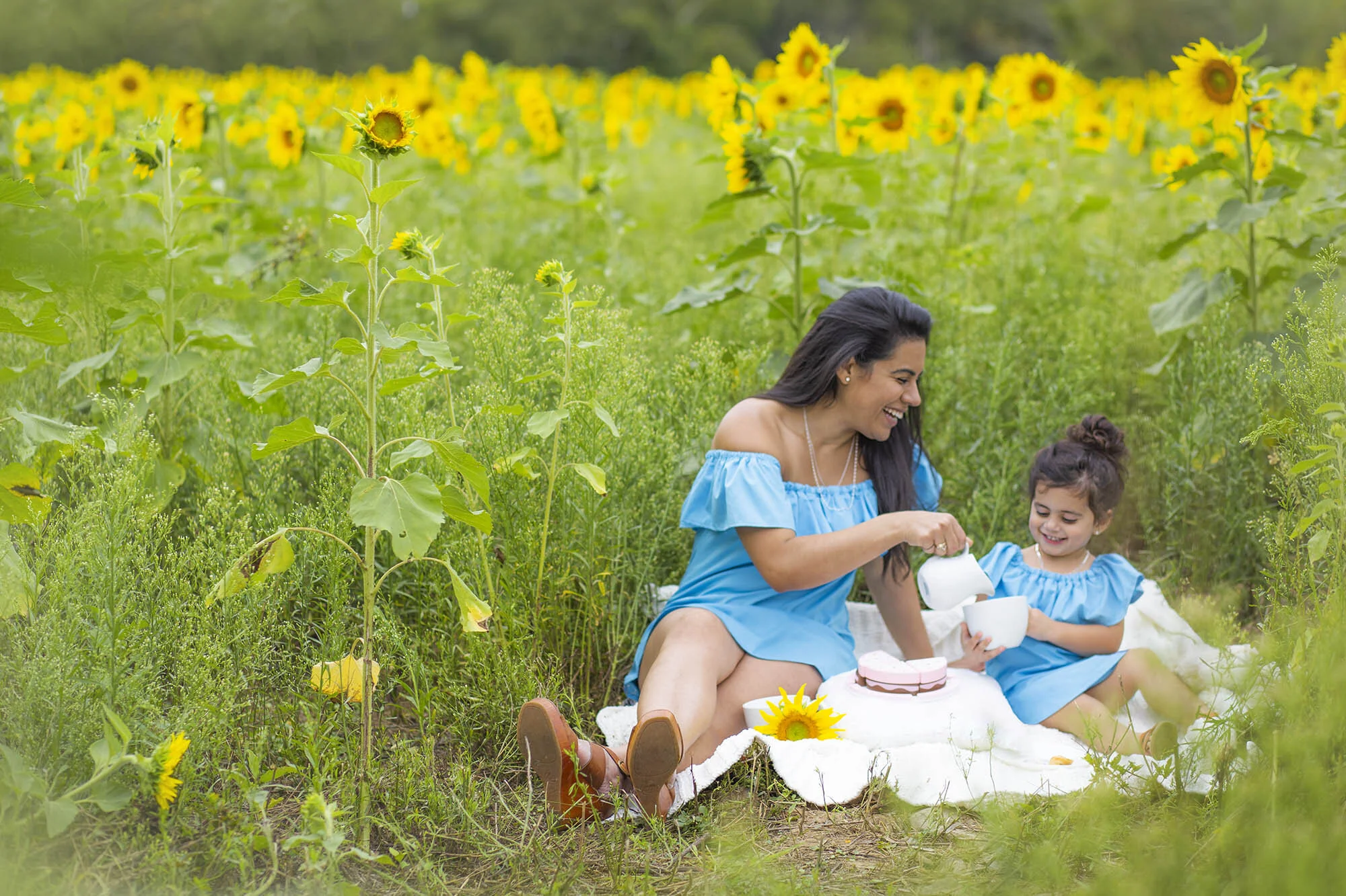 2019_Sunflower_Field_Kathy_Danica_072_2000px.jpg