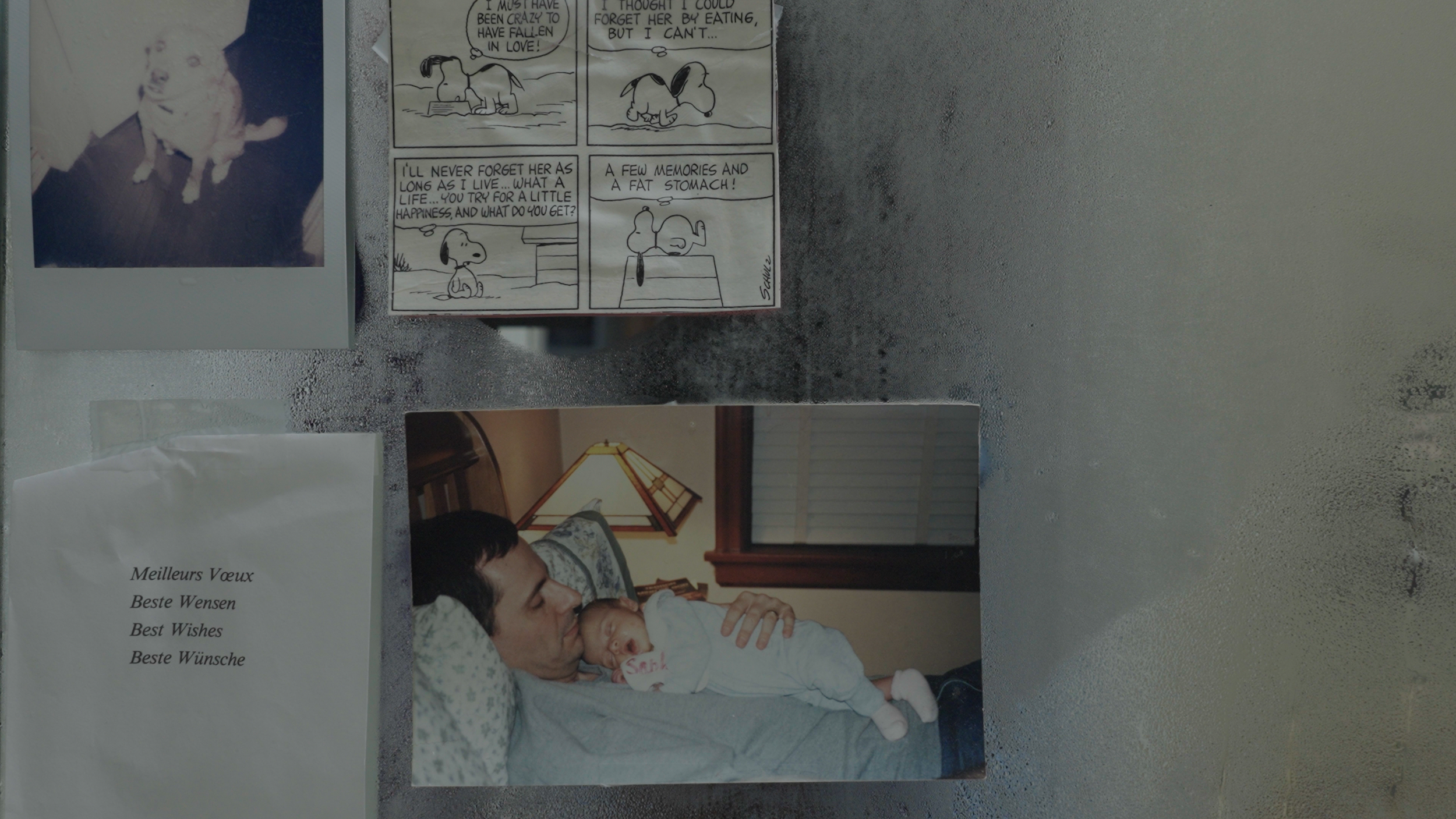 STILL(4).png