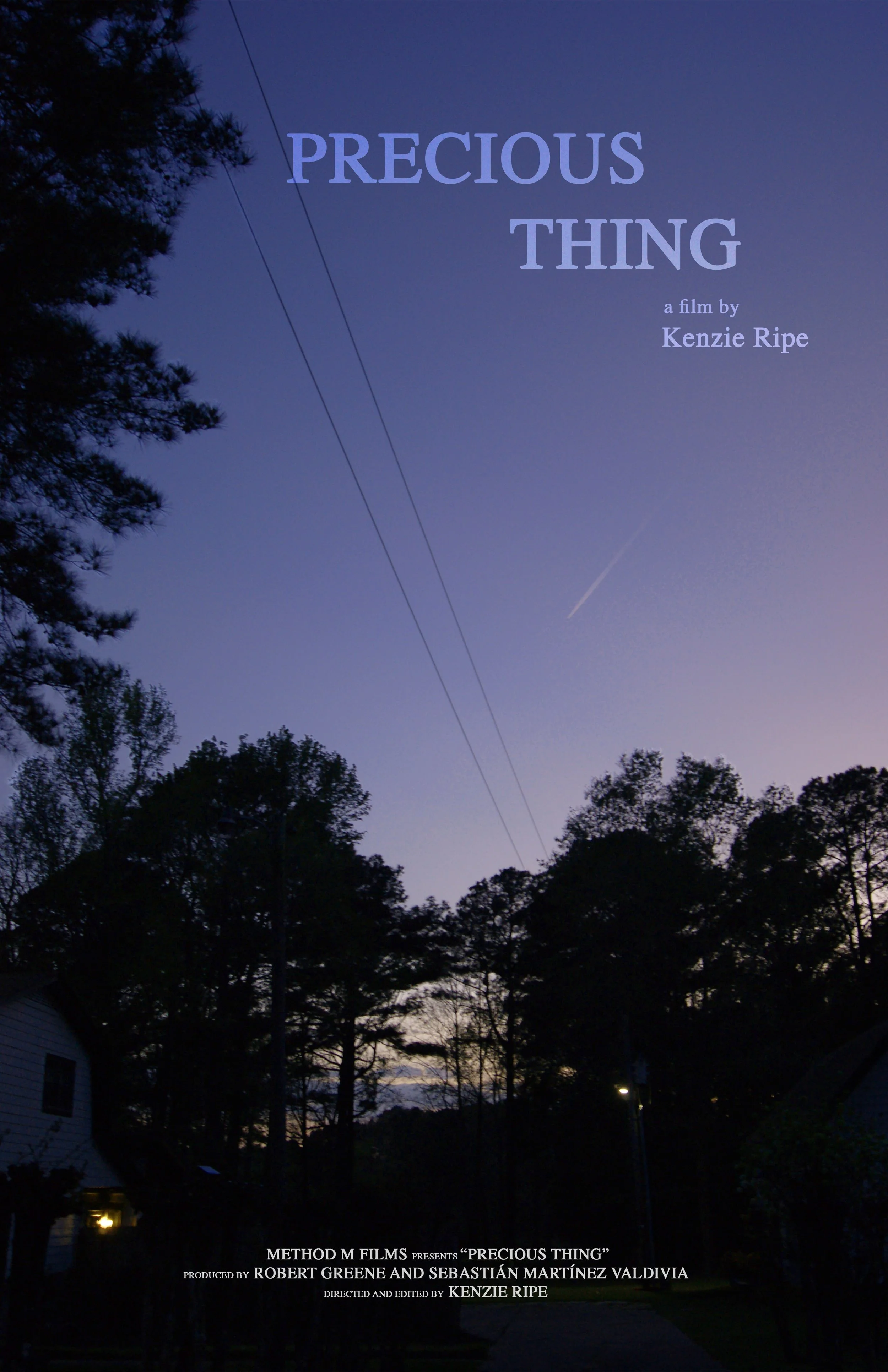 A poster for the film Precious Thing showing the evening sky above trees.