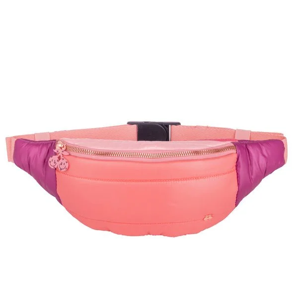 FannyPack[1].jpg