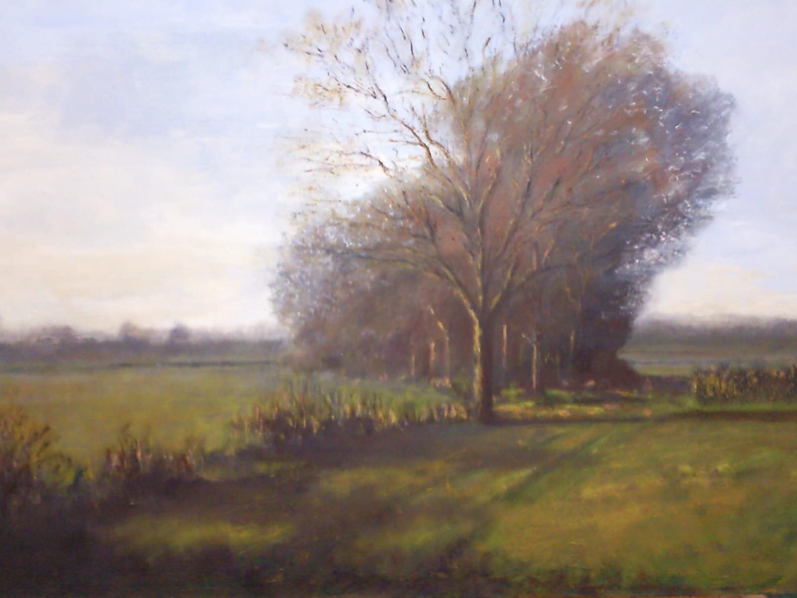 Three Shires Way