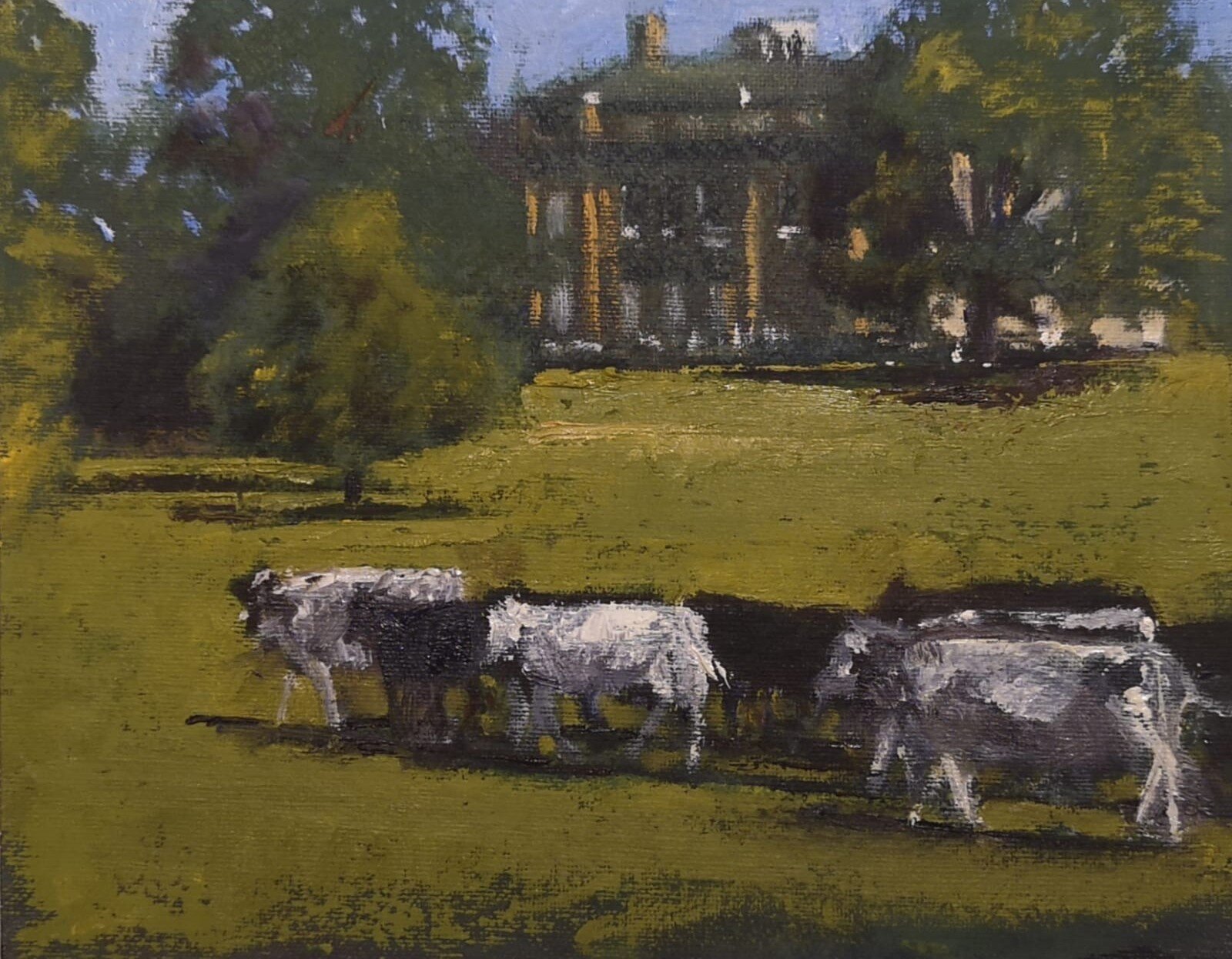 Cows at Turvey House