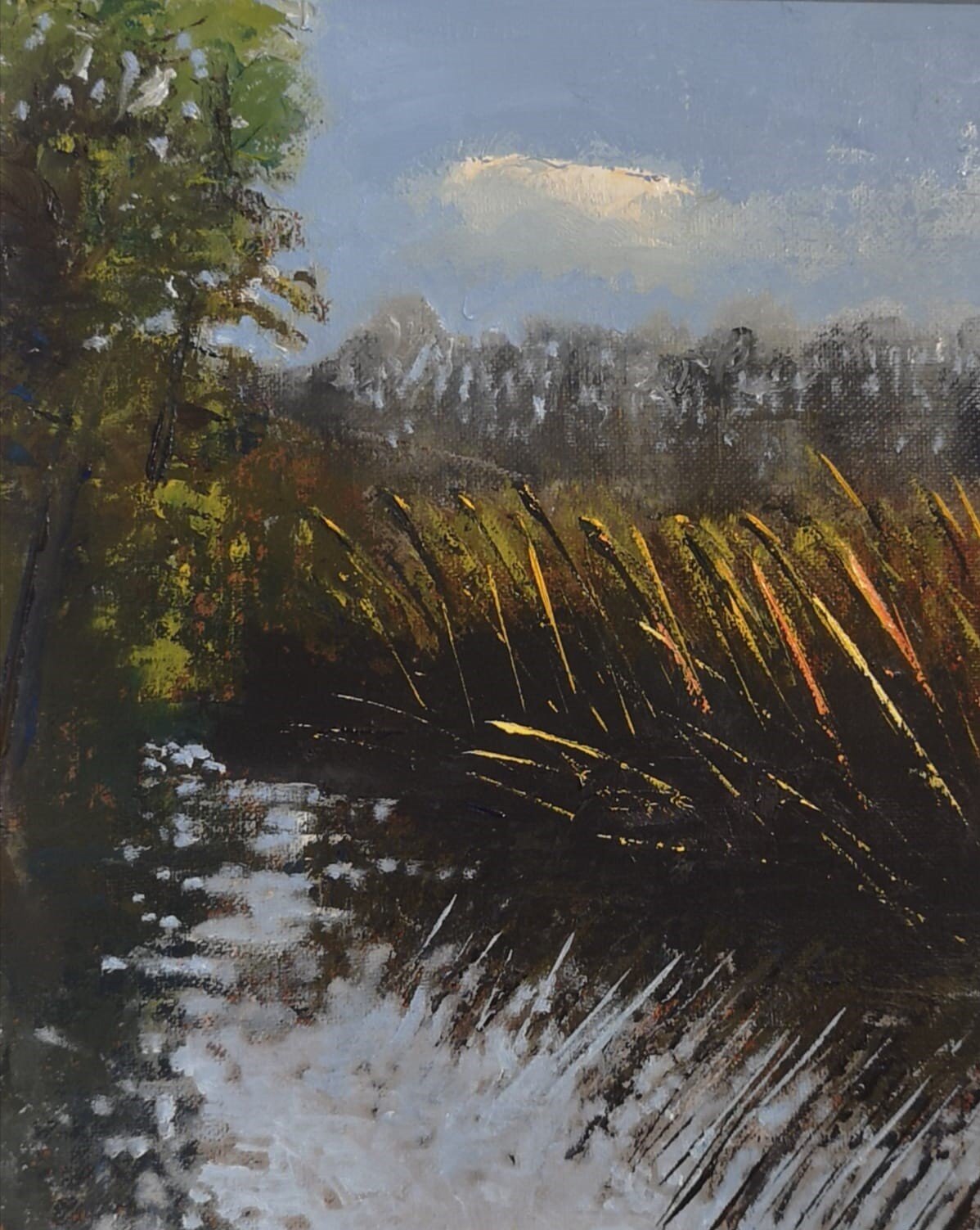 Rushes on the Ouse