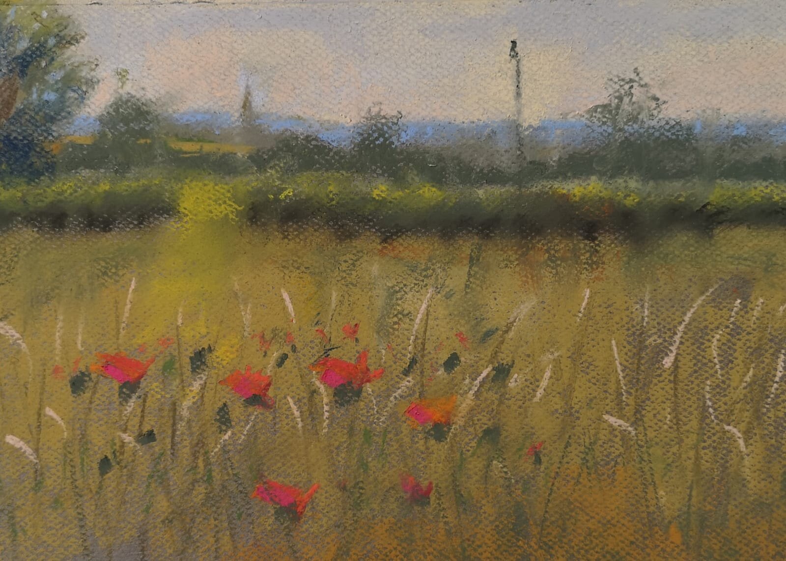 Poppies, Lavendon