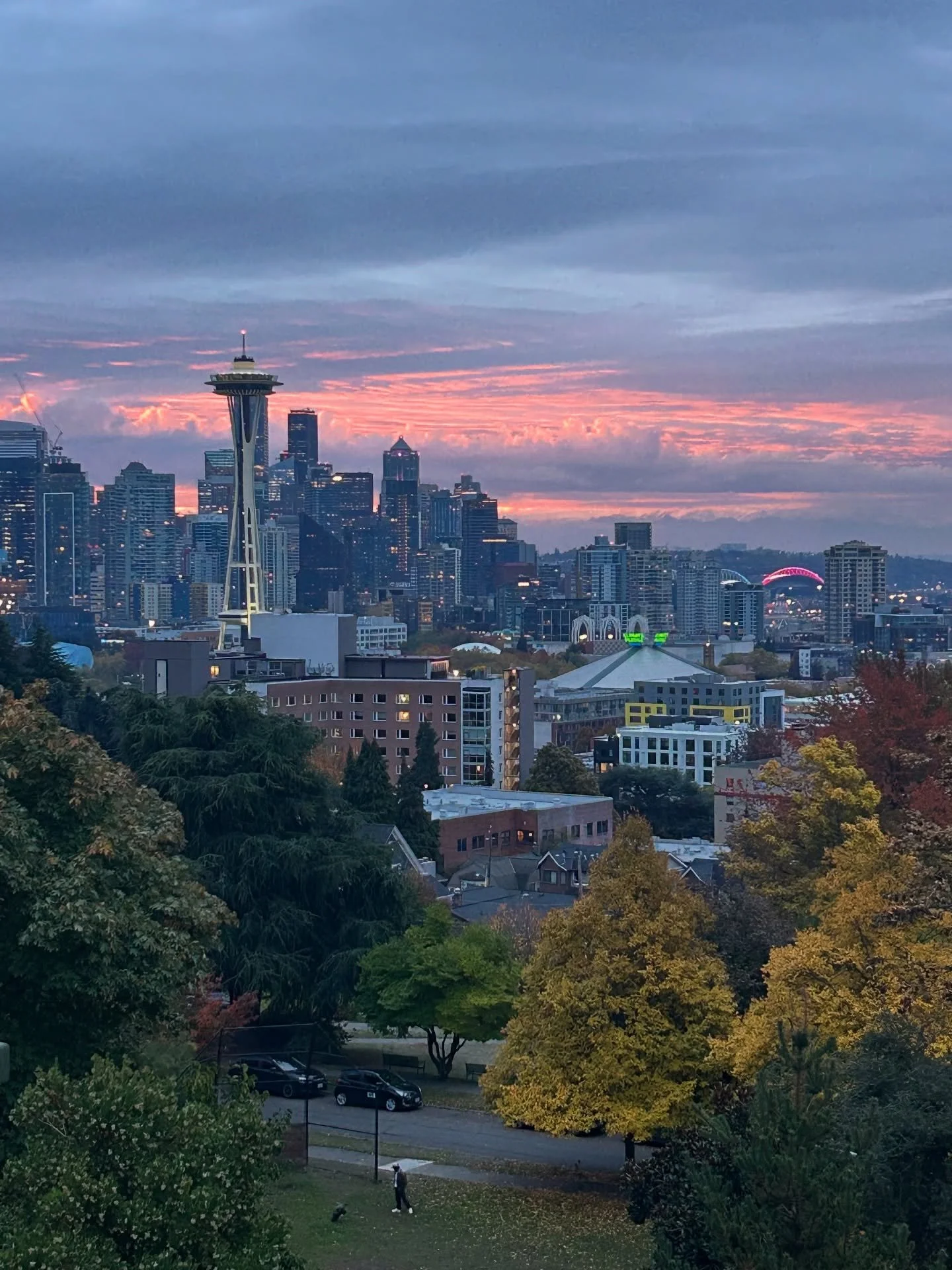 Seattle is beautiful! Getting ready for a great @donaintl Summit! 

#donaproud
