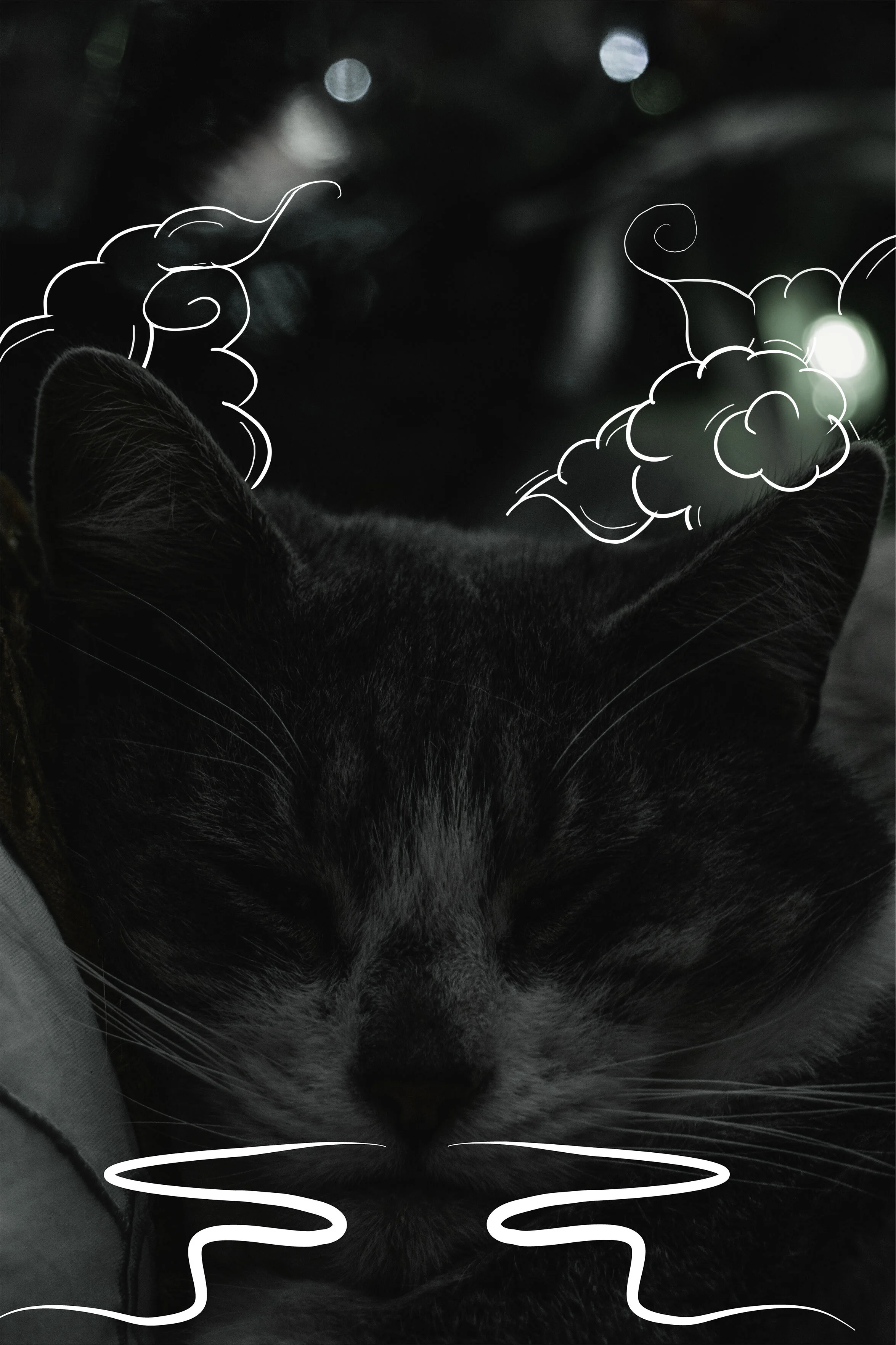 Grey and white tabby. Cat has long, flowing dragon mustache and fluffy clouds floating around its ears resembling those found in traditional Chinese art doodled over the photograph.