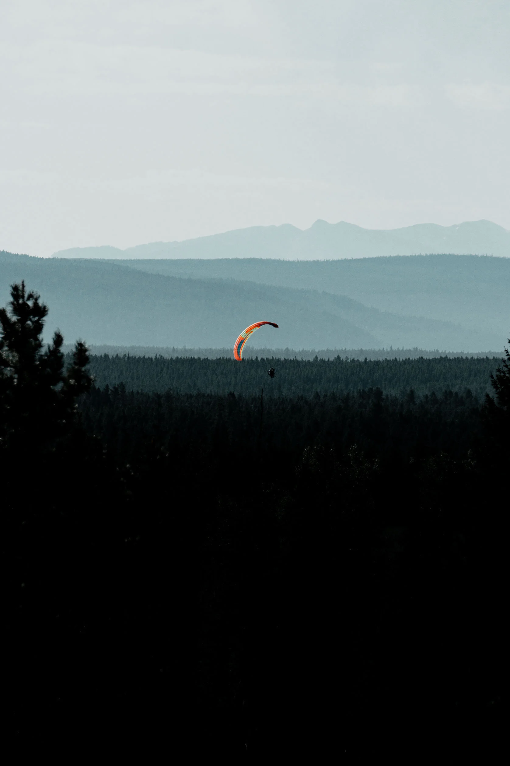 Guy wearing a motor attached to orange paraglider flies over blue hued stacks of pine forested hills fading into the distance. Island Park, Idaho