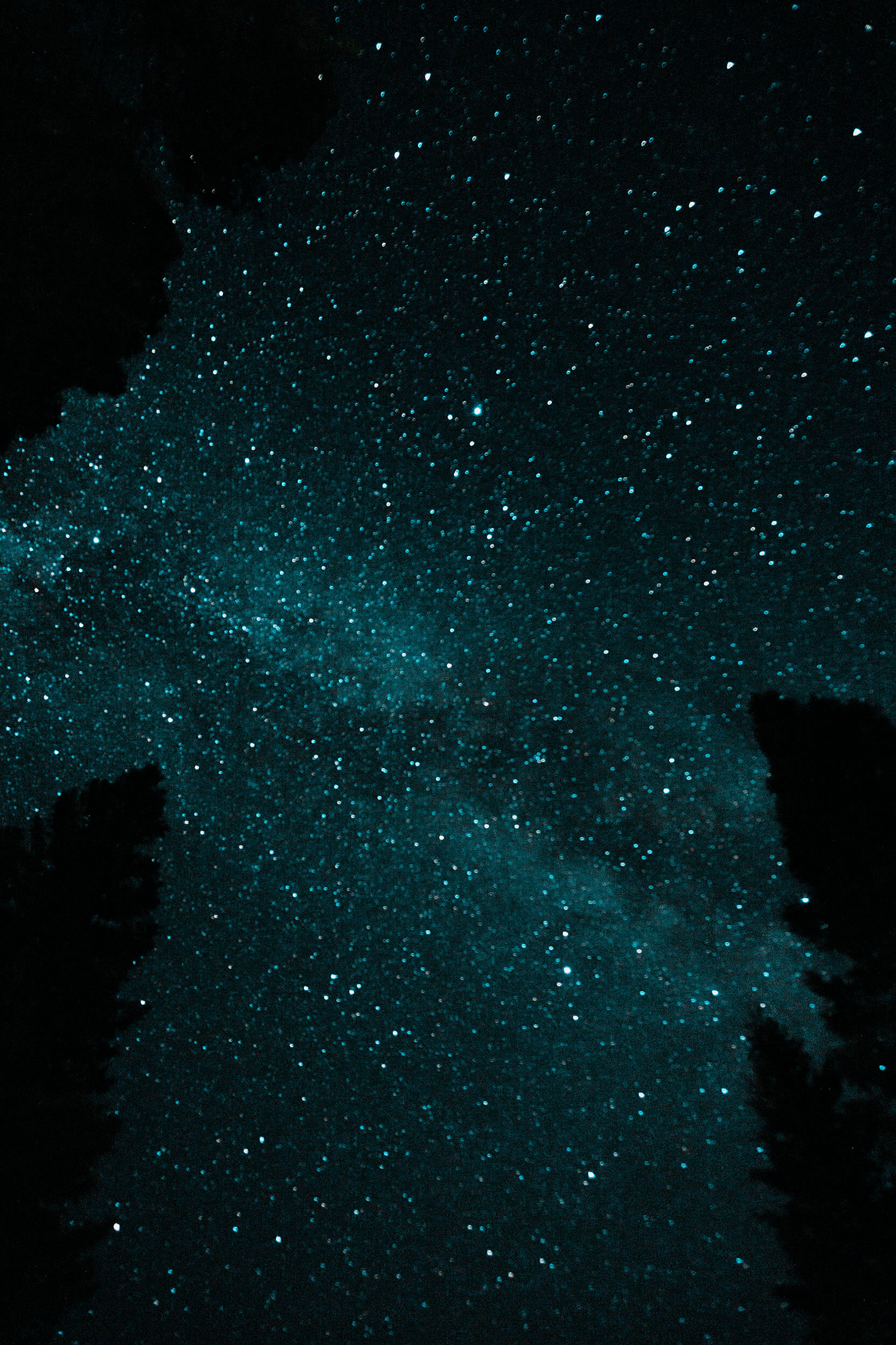 Teal long exposure of the milky way over Island Park, Idaho surrounded by pine tree silhouettes.