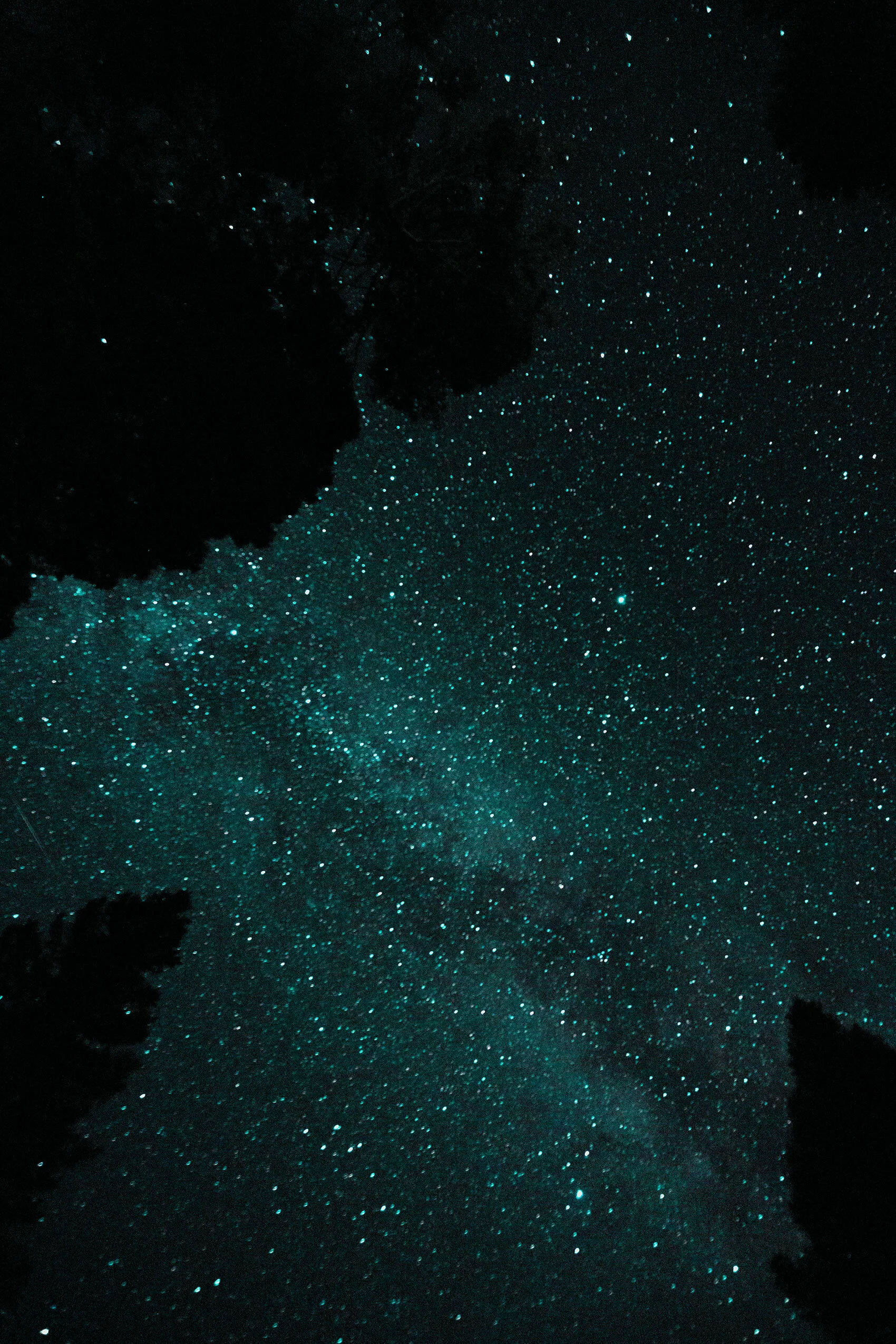 Teal long exposure of the milky way over Island Park, Idaho surrounded by pine tree silhouettes.
