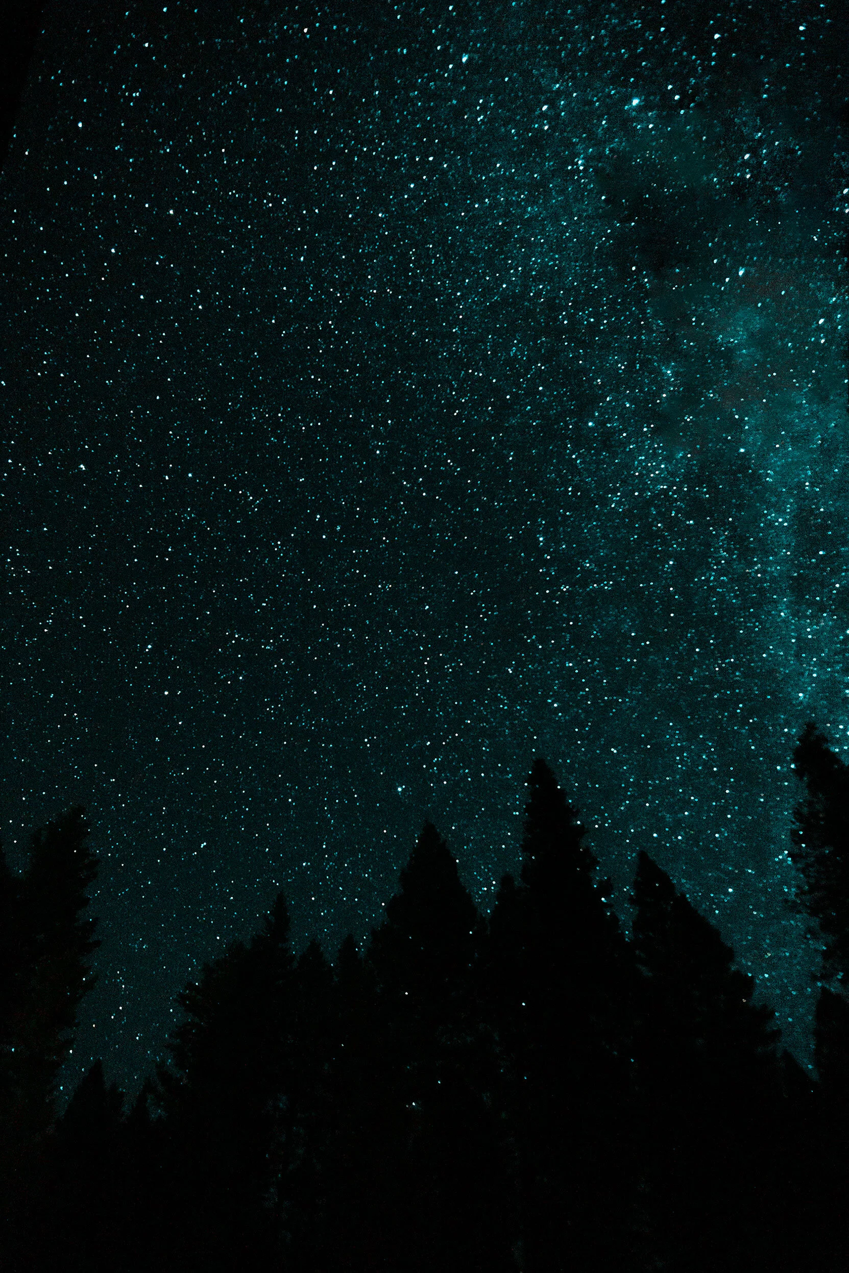 Teal long exposure of the milky way over Island Park, Idaho surrounded by pine tree silhouettes.