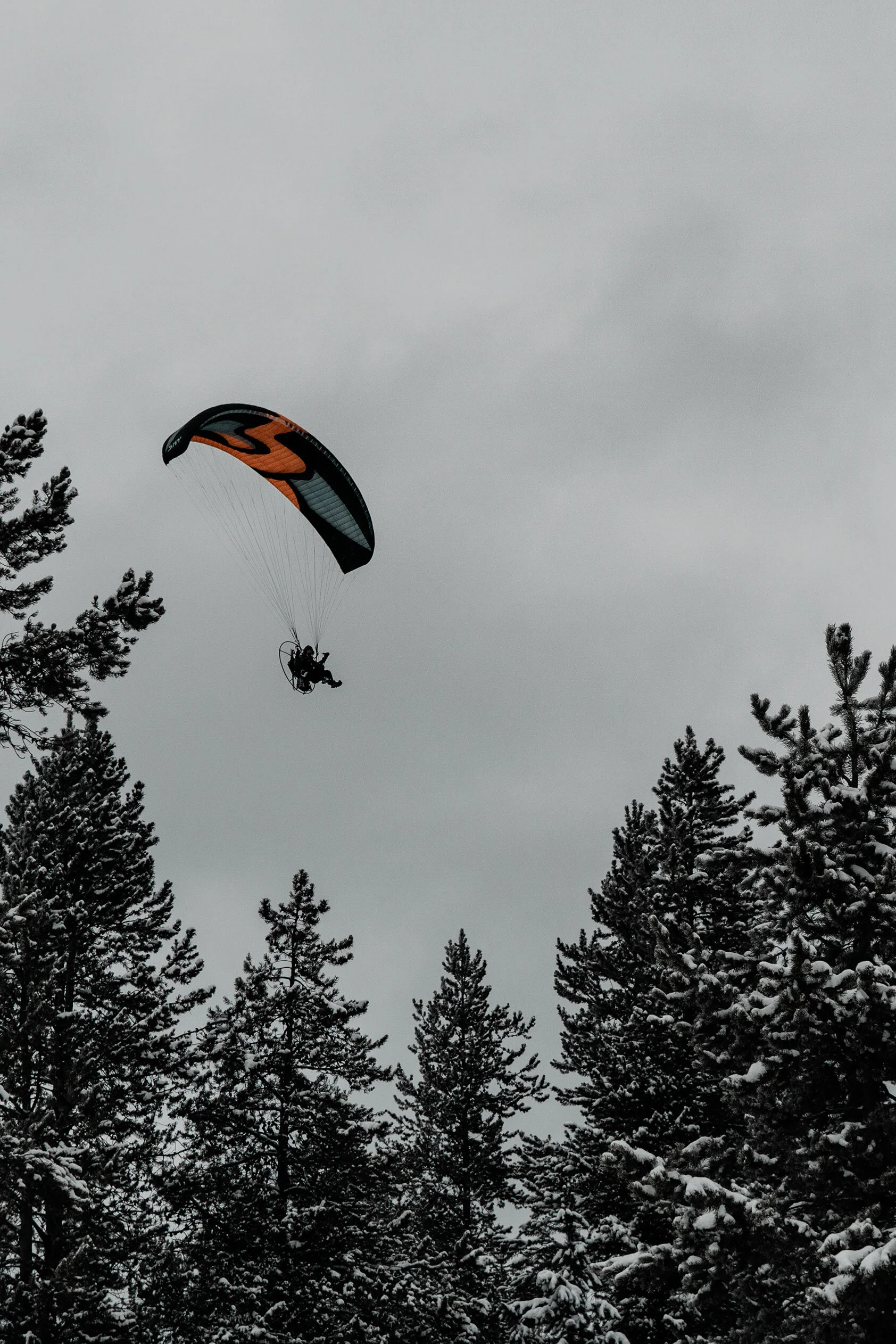 Guy wearing a motor attached to grey, black, and orange paraglider flies over a dark, snow covered pine forest. Some of the trees frame him. Island Park, Idaho.