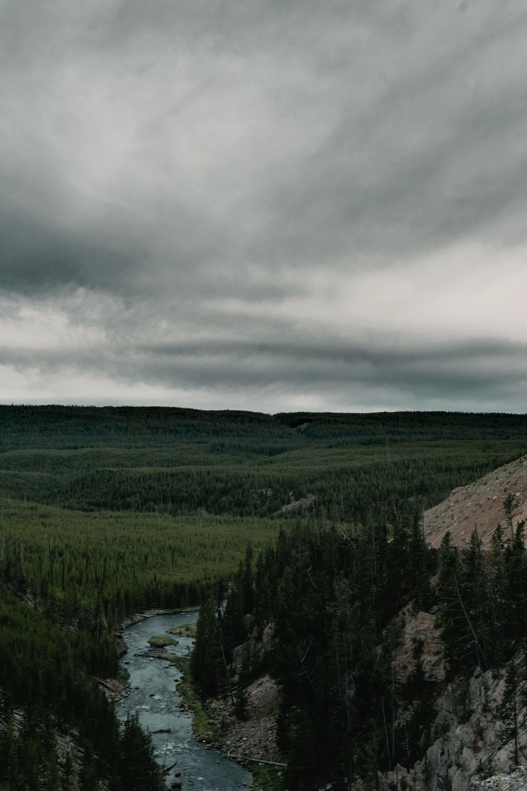 High angle view of grey teal river running through rolling hills of green pine trees under overcast sky in Yellowstone national park, Montana.
