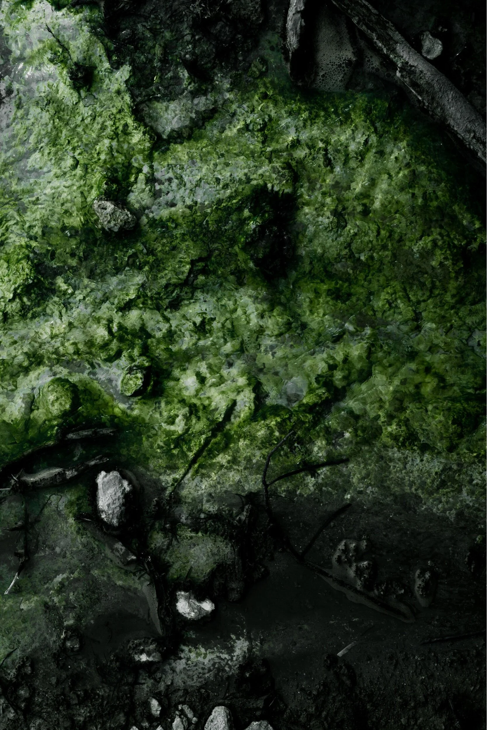 Clean light filters in from top left corner of top down view of green and white algae growing underwater on black sand floor. In Yellowstone National Park, Montana.