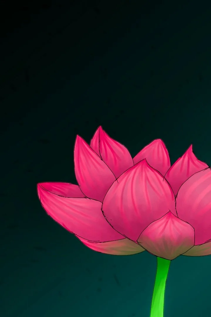 Lone lotus.