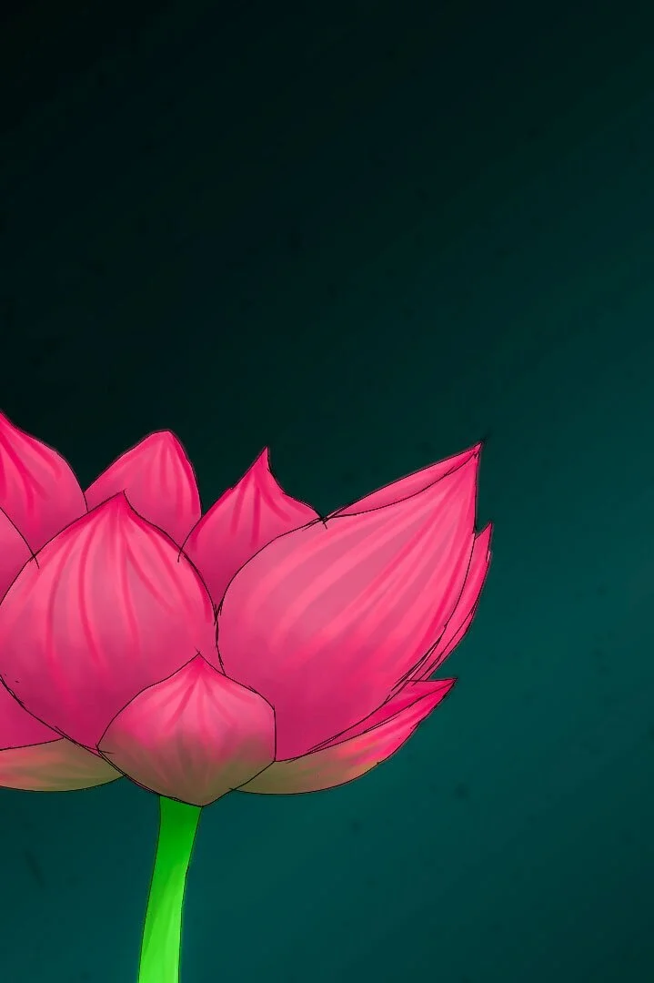 Lone lotus.