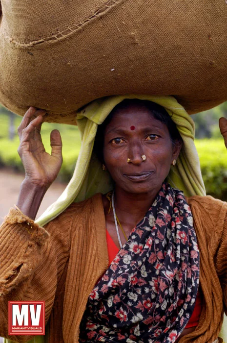 A woman carries a bushel of picked tea leaves at a tea plantation in the Ketty Valley in the Nilgiris region of Tamil Nadu, India.