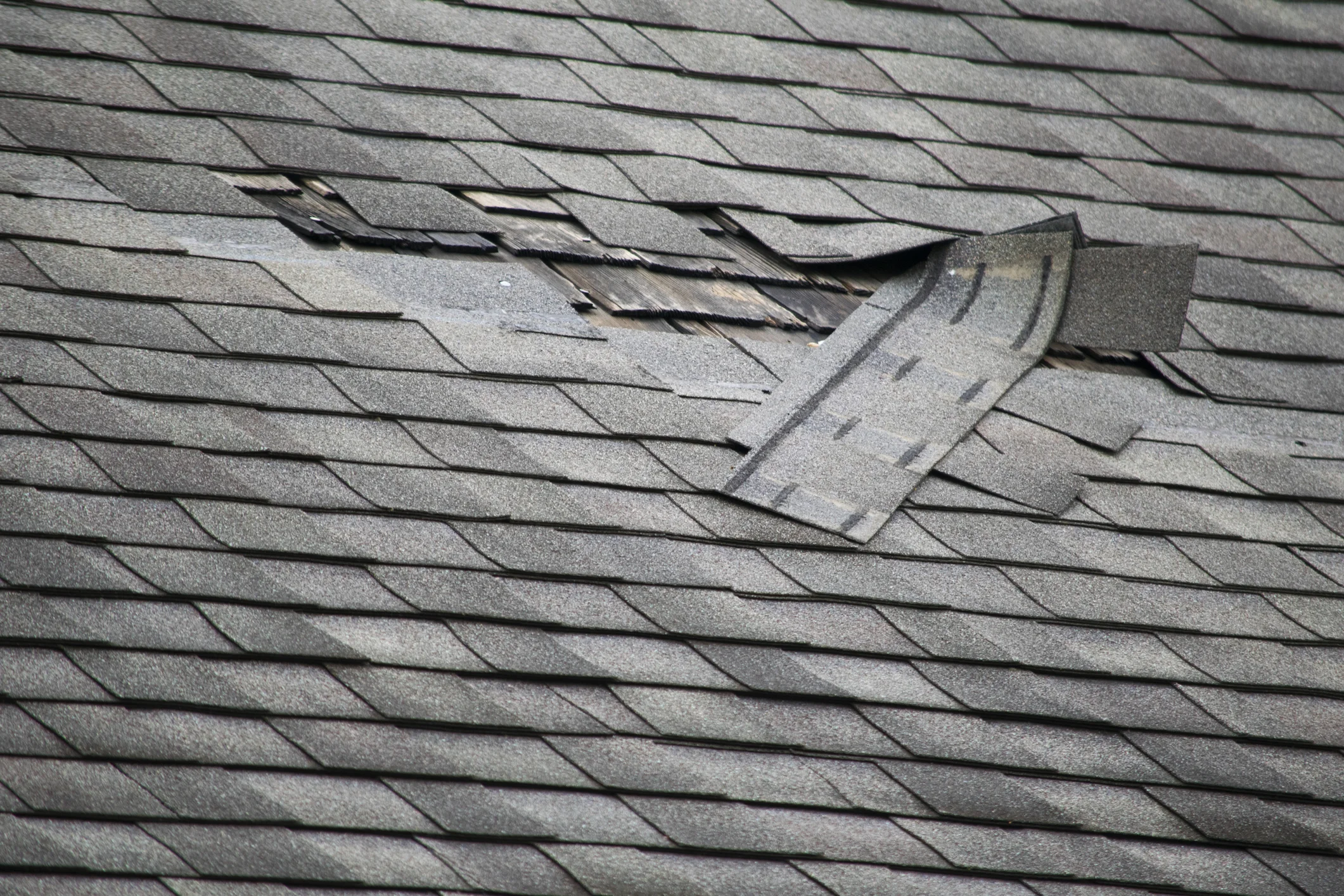 missing roof shingles.jpg