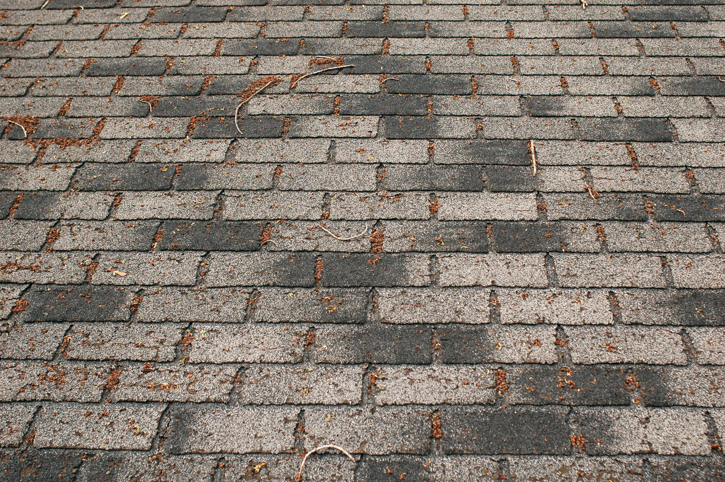 Old roof in need of replacement.jpg