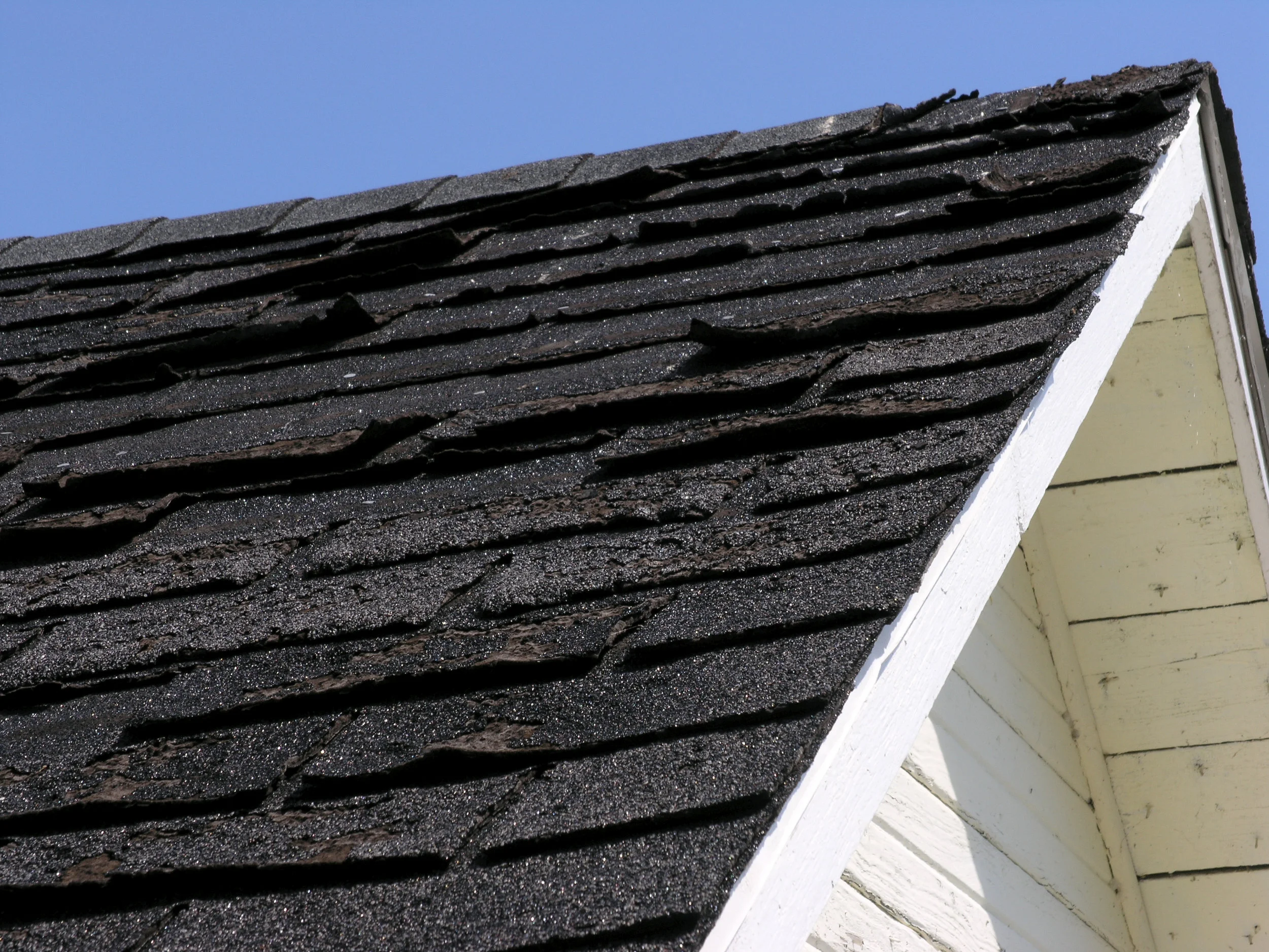 curled and warped roof shingles.jpg