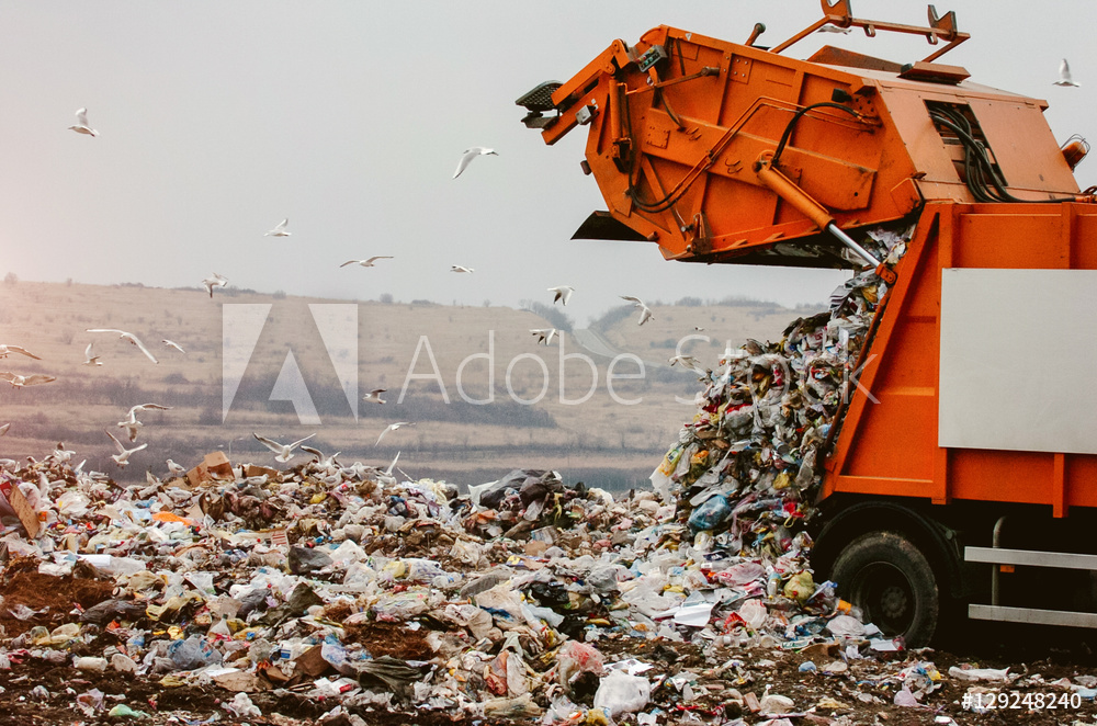AdobeStock_129248240_Preview.jpeg
