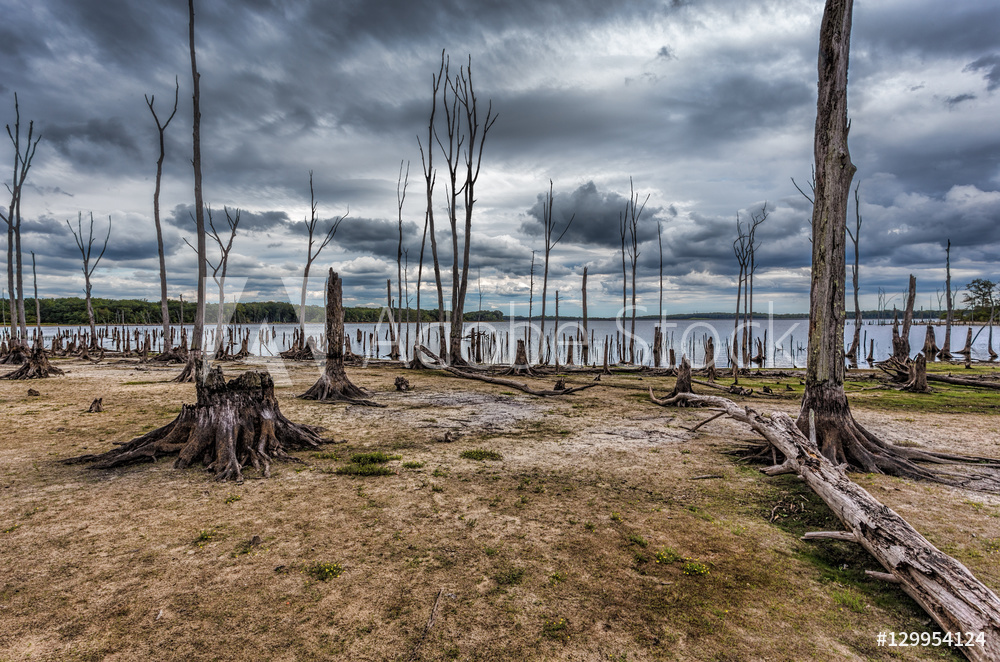 AdobeStock_129954124_Preview.jpeg