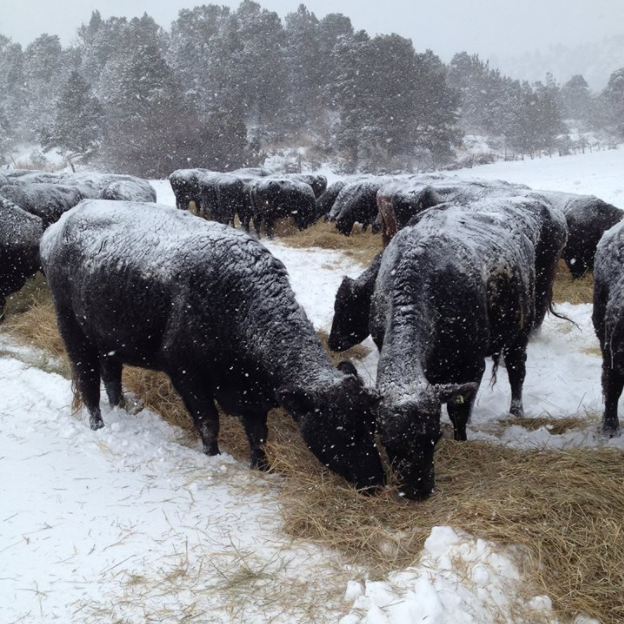 Western Heritage Farms