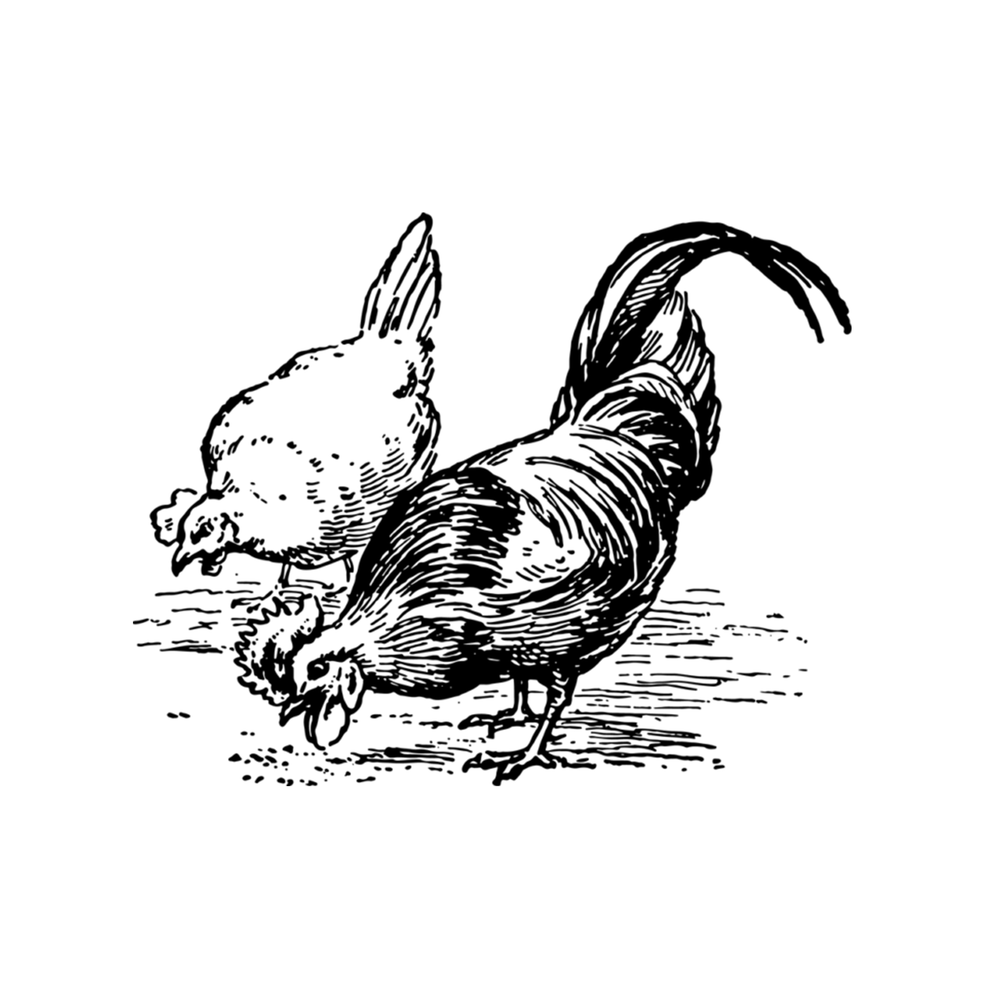 Paleo-B.png