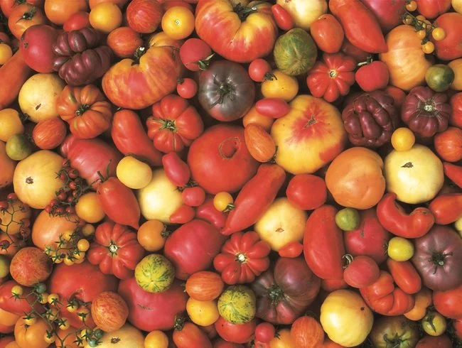 Heirloom tomatoes.jpg