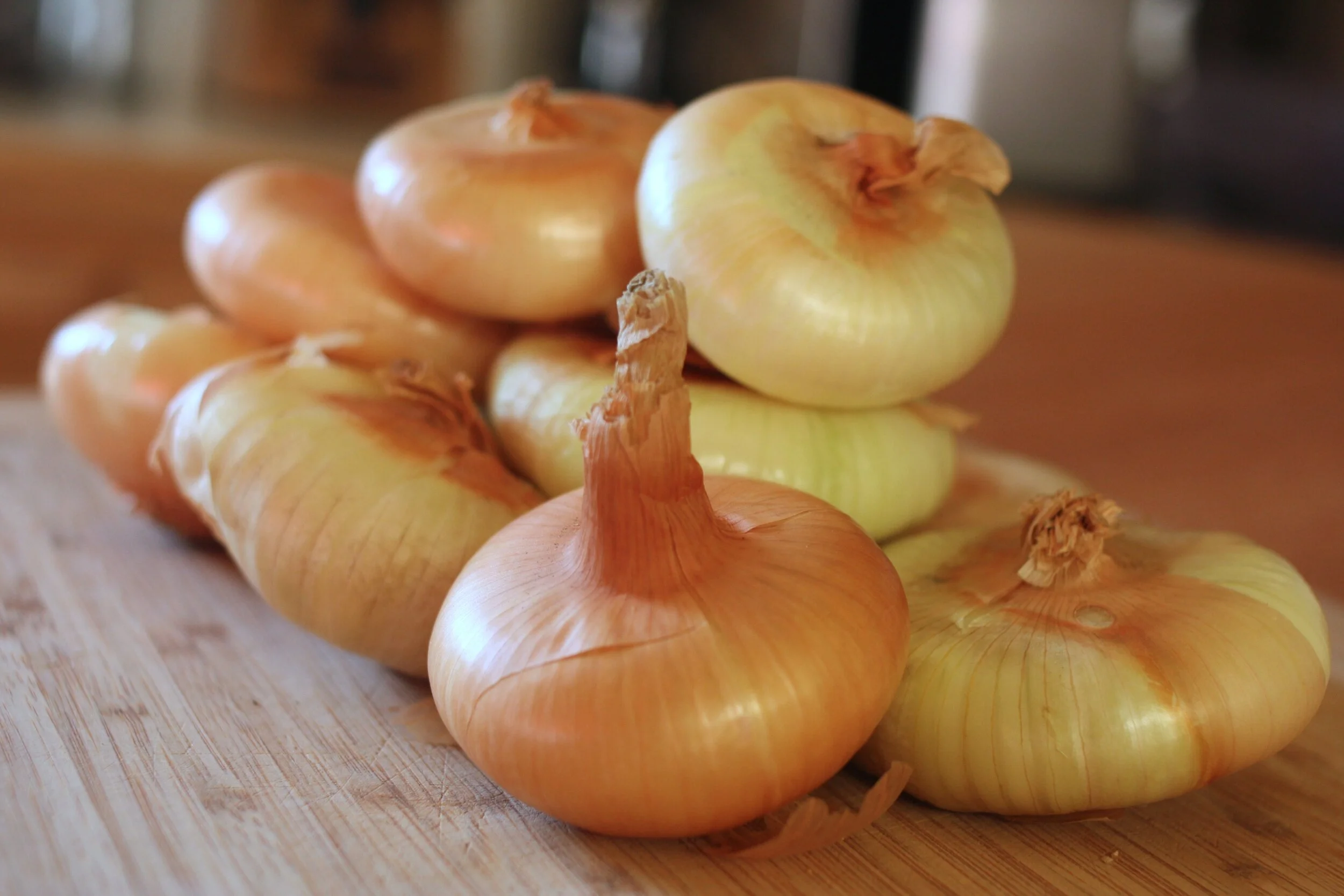 cippolini onions.jpg