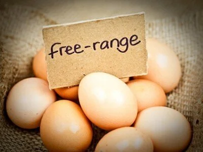 Free-Range-Eggs.jpg
