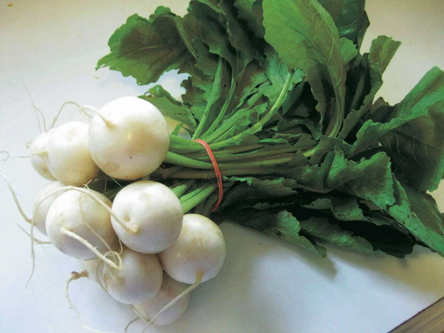 hakurei turnips.jpg