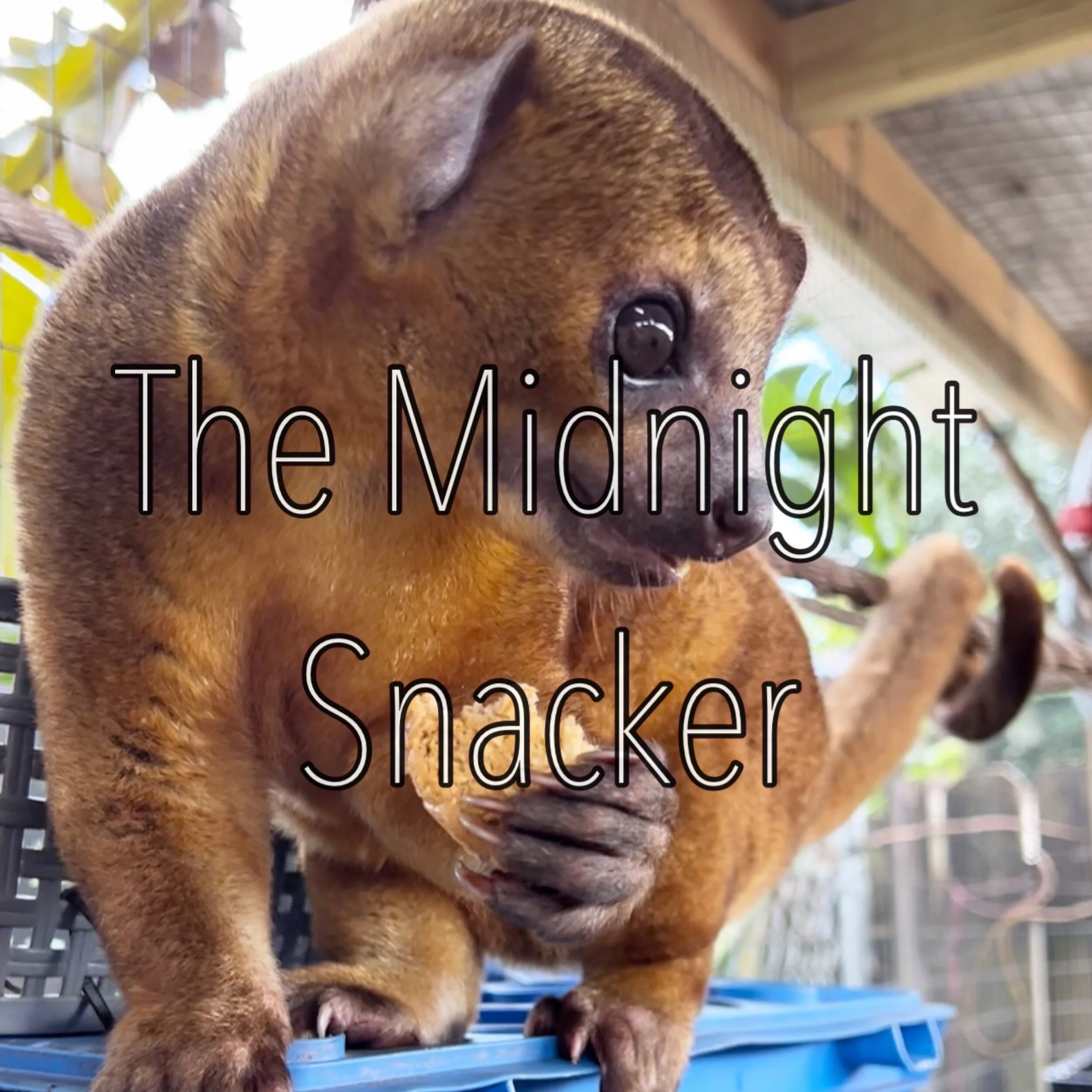 240CD367-F093-440F-9458-6F59C79E22EC