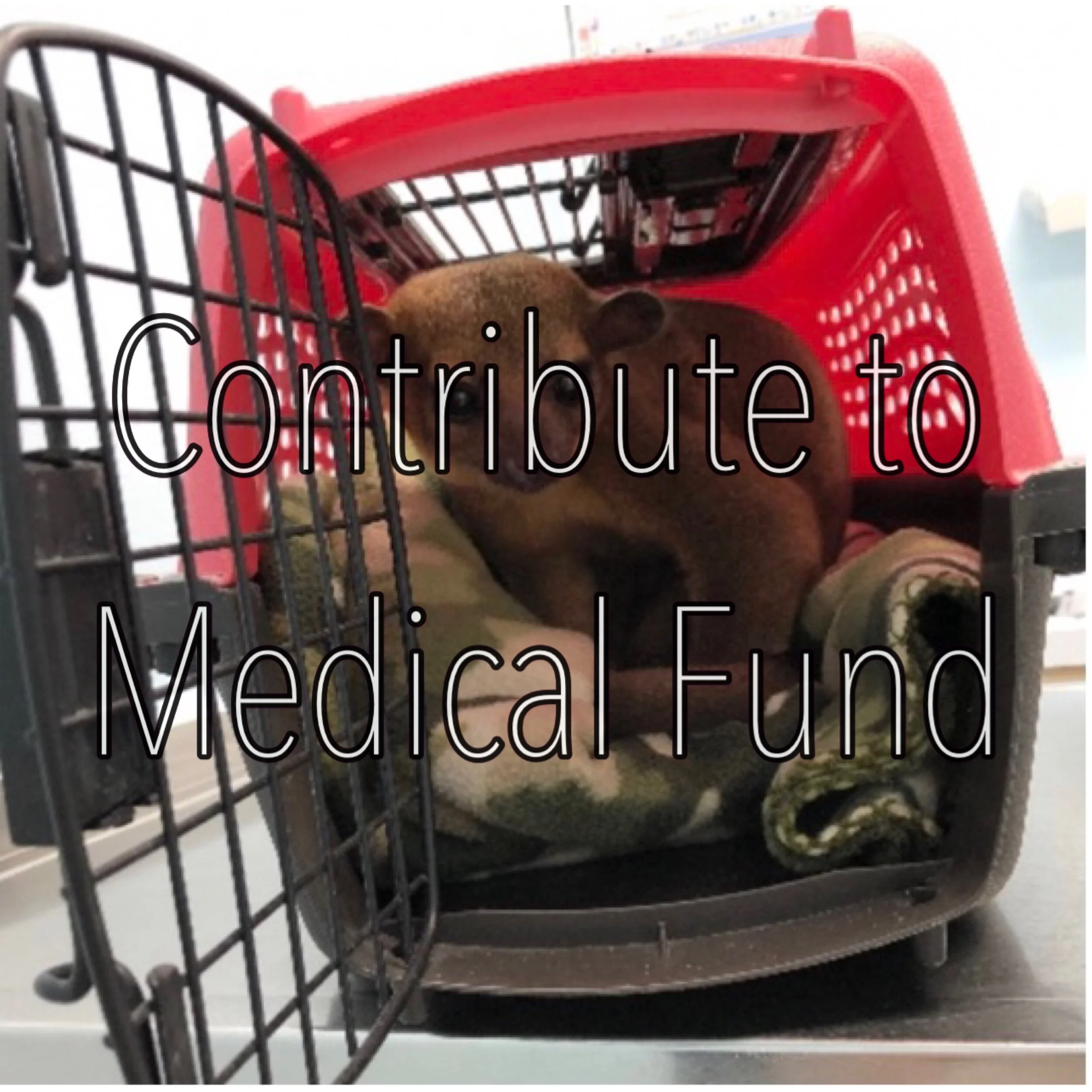 20C7E169-710F-4C18-A516-E598F0FF1390