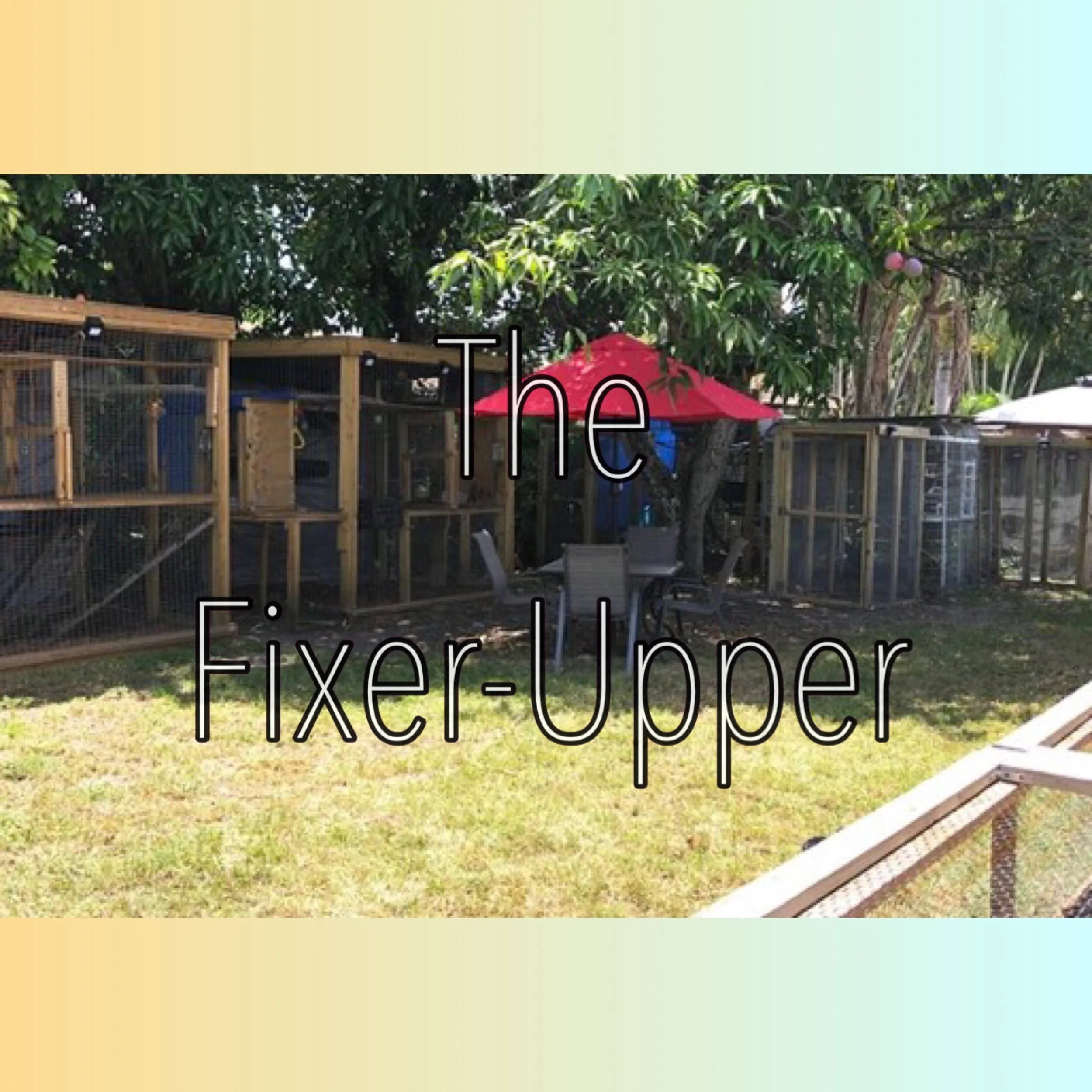 EB5387C0-184C-4949-BFB2-6C381BBC8401