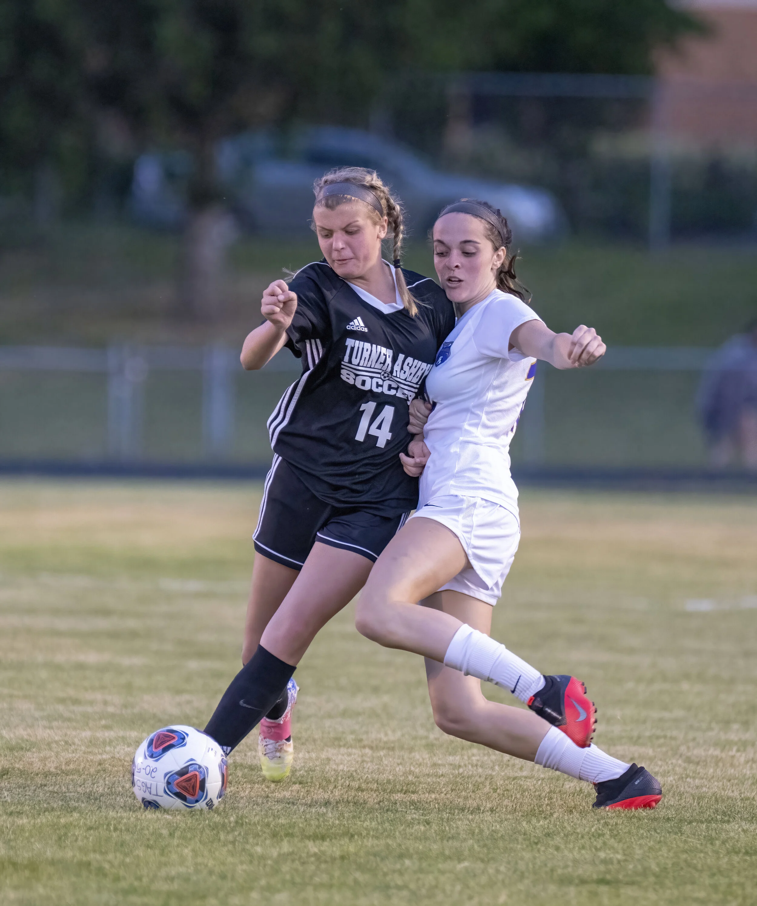 J Sierra PhotographyJSP03864JSP-standard.JPG