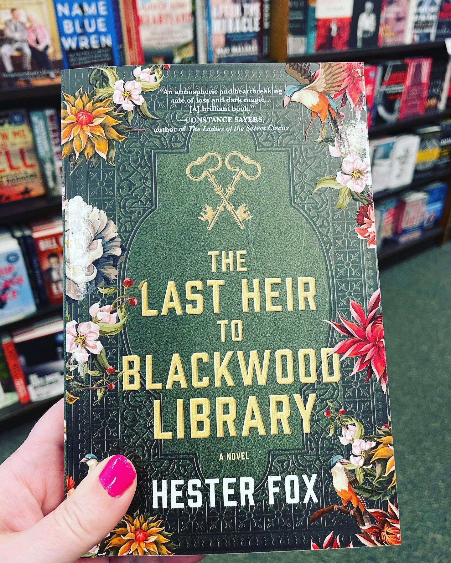 Gothic library&hellip;👀? Sold! It&rsquo;s coming home with me, @hesterbfox #TheLastHeirOfBlackwoodLibrary #amreading #booktok #bookstagram @bn_dartmouth