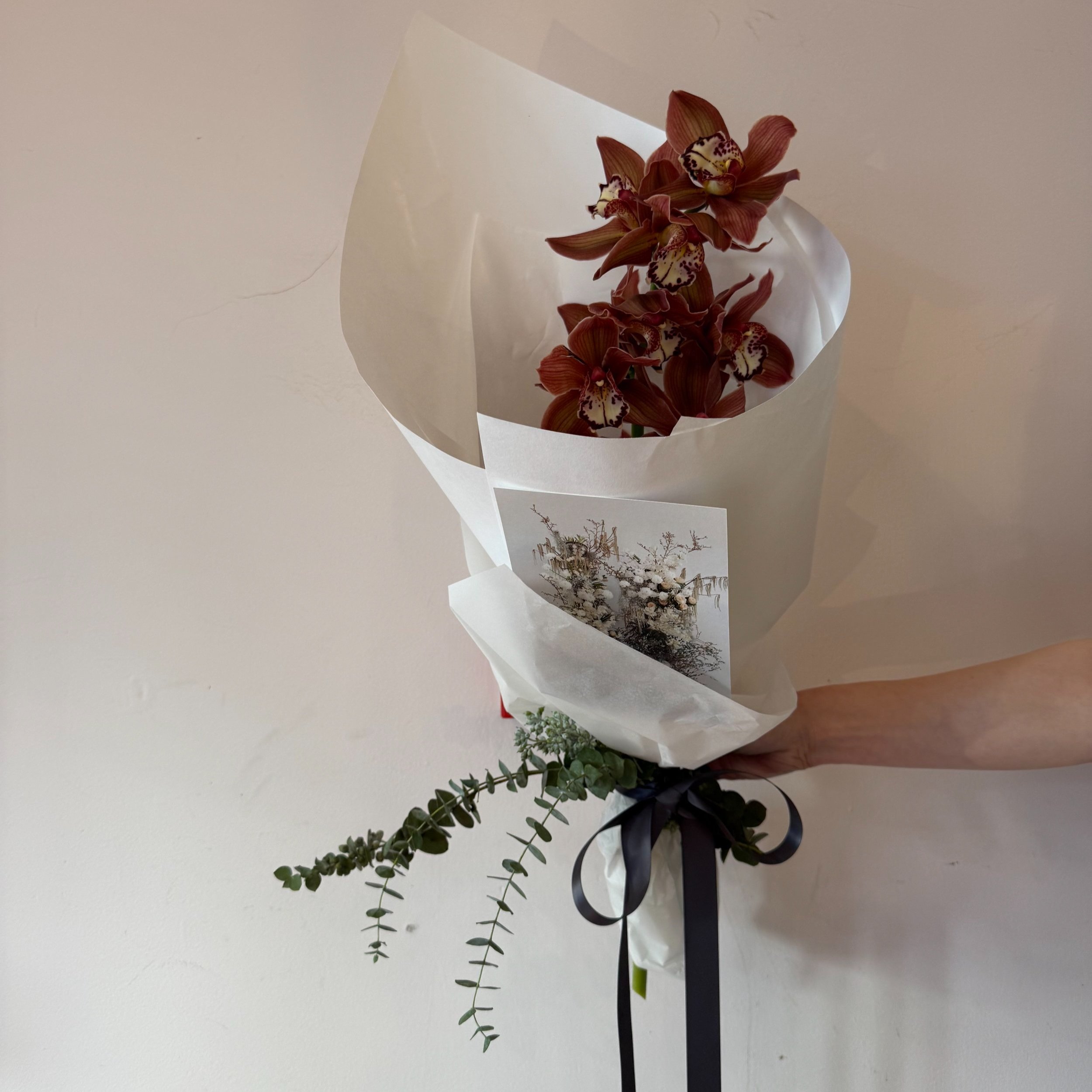 Orchid stems