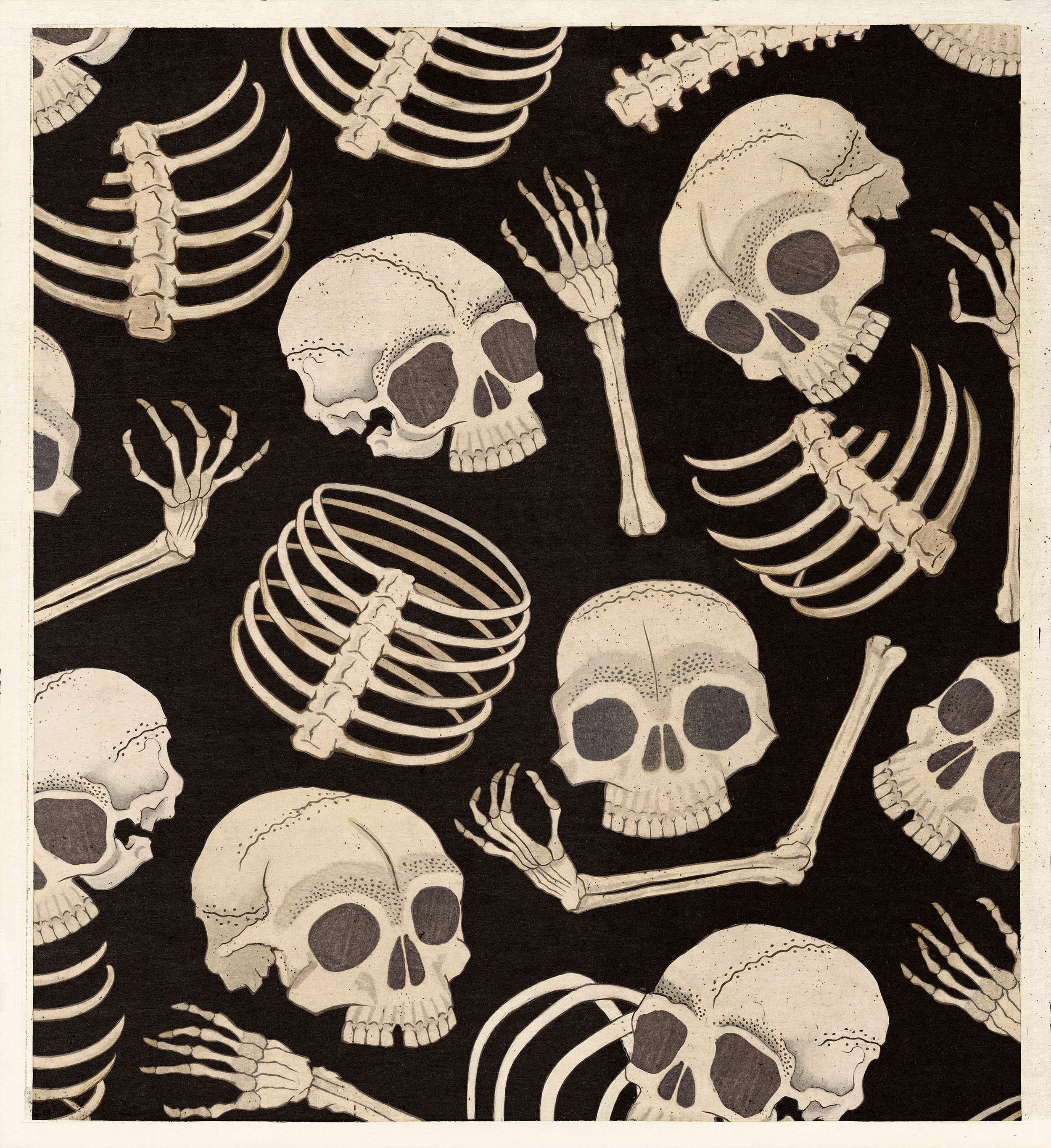 skull-and-bones-endnless-joy artwork