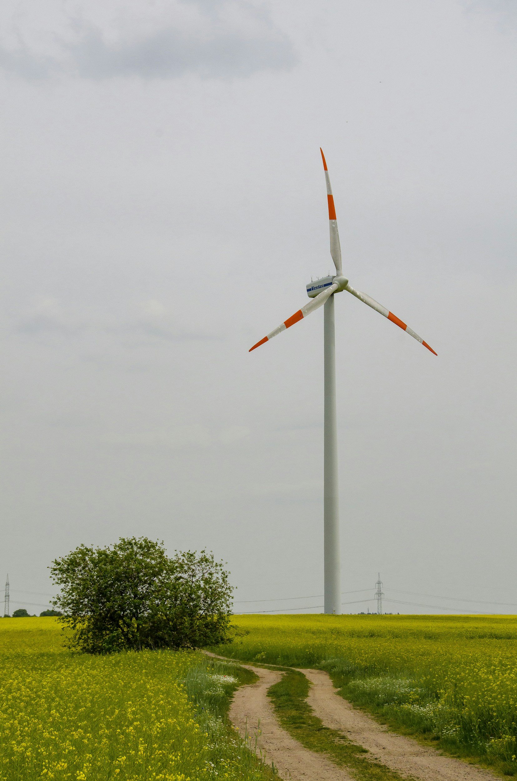 WINDS OF CHANGE