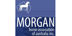 Morgan Horse Association of Australia