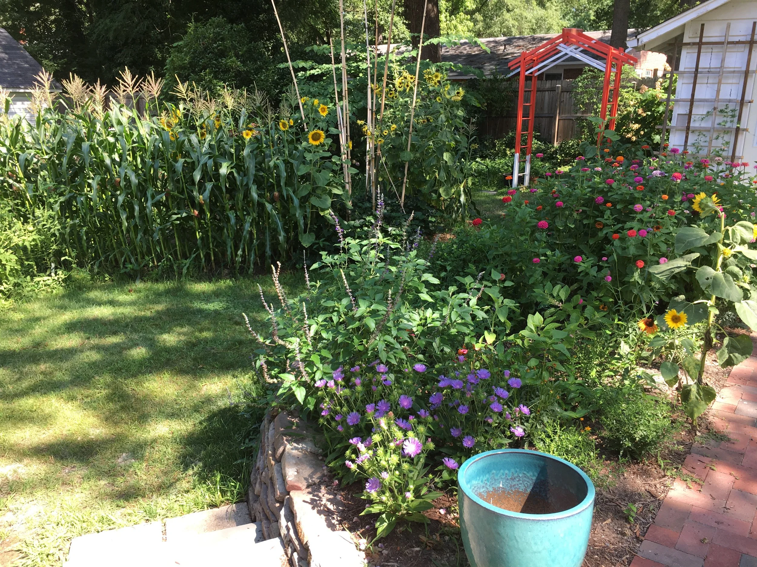 IMG_0770 (1).JPG
