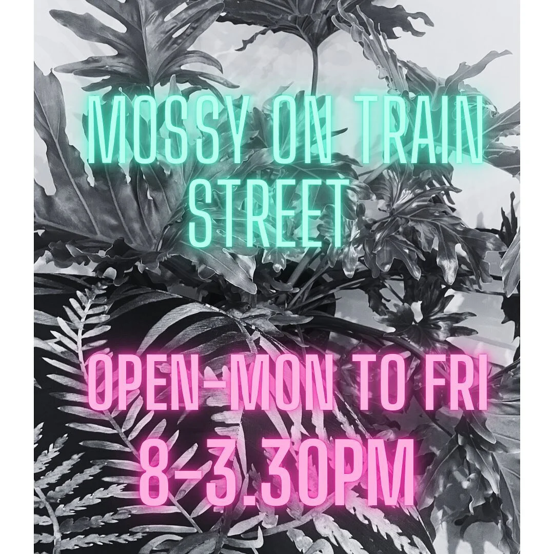 Mossy on Train 8 - 3.30pm
.
.
.
.
.

#mossycafe #seeyouatthemossy #cafe #coffee #broulee #mossypoint #southcoastnsw  #nsw #wheretoeat #whattoeat #visitbatemansbay #visitmoruya #visitnsw #nsw #mossyontrain  #sandwhiches #toasties #toasted #purepops_ic