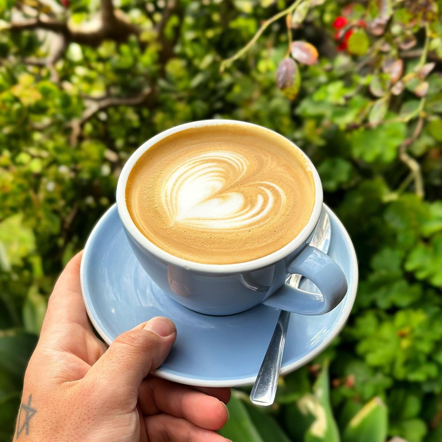 Barista Dean is on the tools, slinging hearts &amp; winning hearts 🥰☕️ 

@guerrillaroasters 
@deanjwhite_ 

#baristalife #coffeelover #caffineaddict #coffeelovers #latteart #hearts #love #mossycafe #seeyouatthemossy #eurobodalla #southcoastnsw #bate