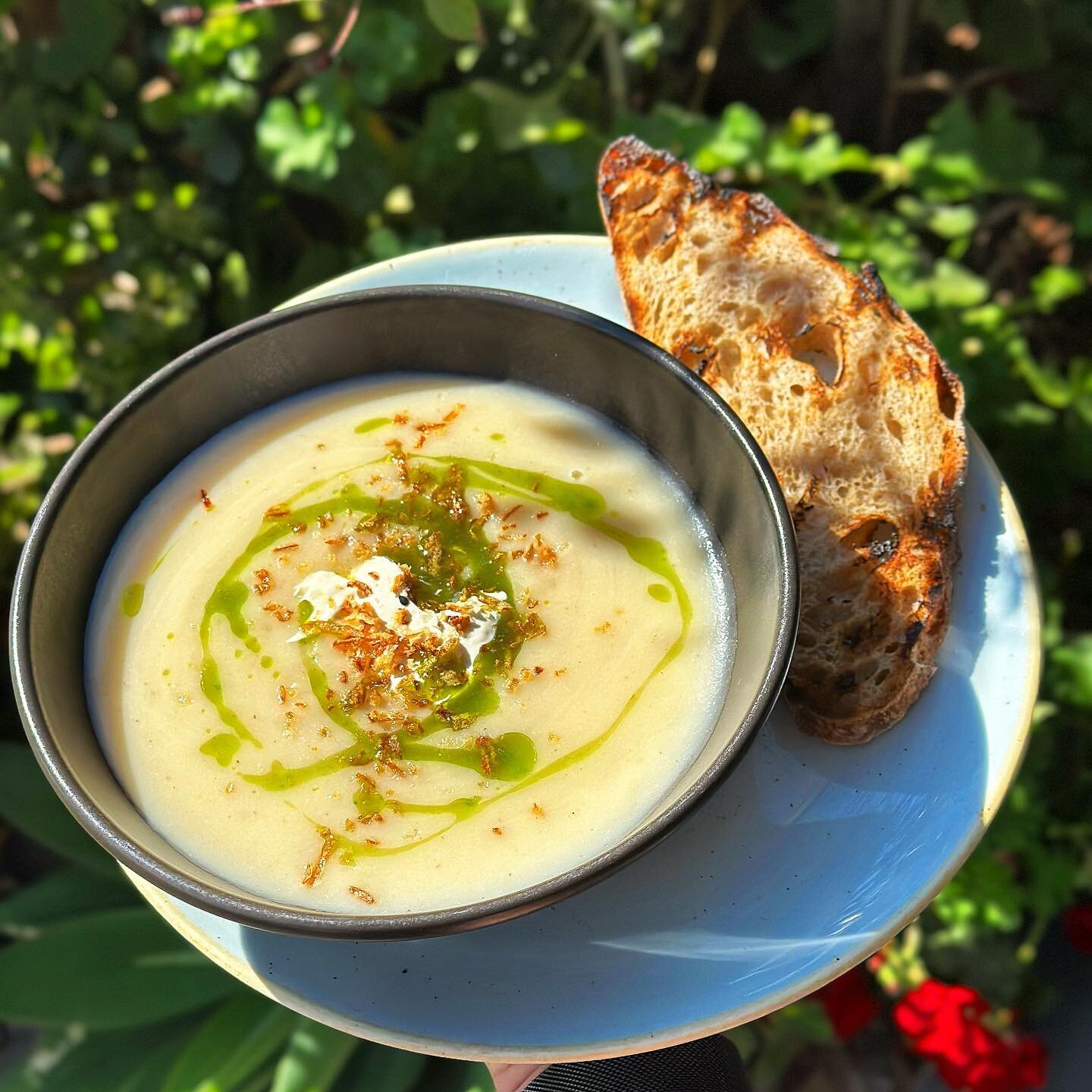Cauliflower Soup 🥣 
served w/ a side of toasted @honorbread sourdough 

Get it to dine in or takeaway! #ohyeh 

#mossycafe #seeyouatthemossy #eurobodalla #southcoastnsw #batemansbay #nsw #wheretoeat #whattoeat #visitbatemansbay #visitmoruya #visitns