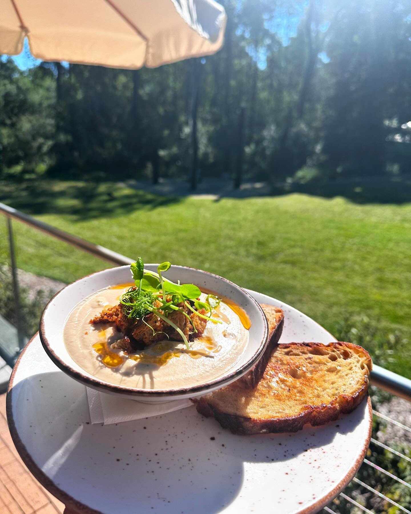 What happened to soup weather? This one is so good it doesn&rsquo;t matter! 🌧️🌧️

Roasted cauliflower w/ harissa and garlic croutons 😋😋

#mossyspecial #soup #cauliflowersoup #yum #lunch #schoolgolidays 

@mossyontrain 
@mossyongardens
@eat_drink_