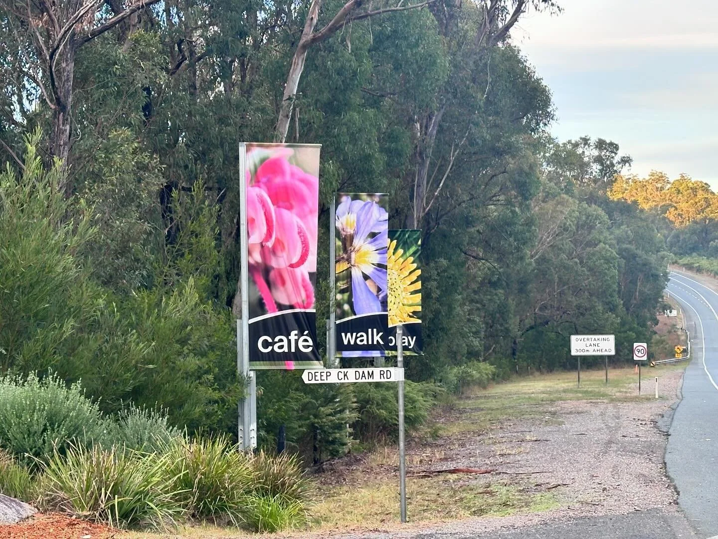 Mossy on Gardens is definitely worth a visit β€οΈ #worthavisit #peacefulcafe #serene 
@mossyontrain 
@mossyongardens
@eat_drink_south_coast
@eurobodalla 
@visitbatemansbay 
@visitmoruya 
@the.mossypossy 
@eatyourheartoutsouthcoast 
@southcoastexperien