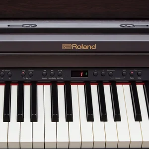 Roland RP501R with matching bench! — Australian Music World